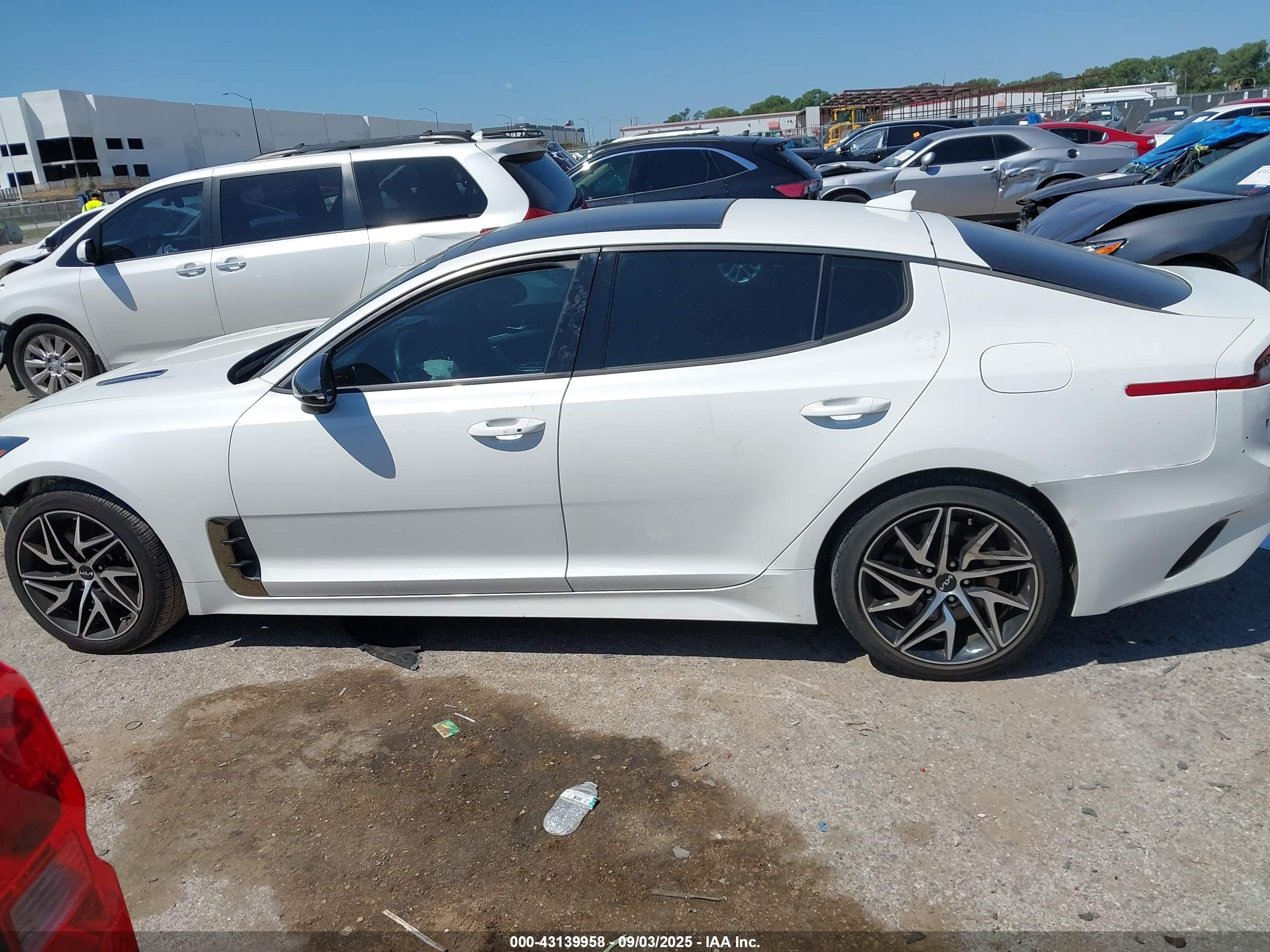 2023 Kia Stinger Gt-line White vin: KNAE35LD6P6131415