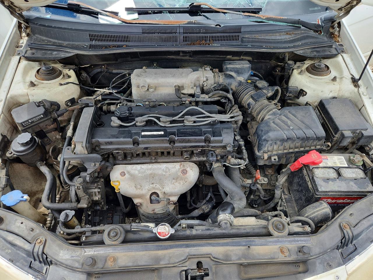 2006 Kia Spectra Ex White vin: KNAFE121065356044