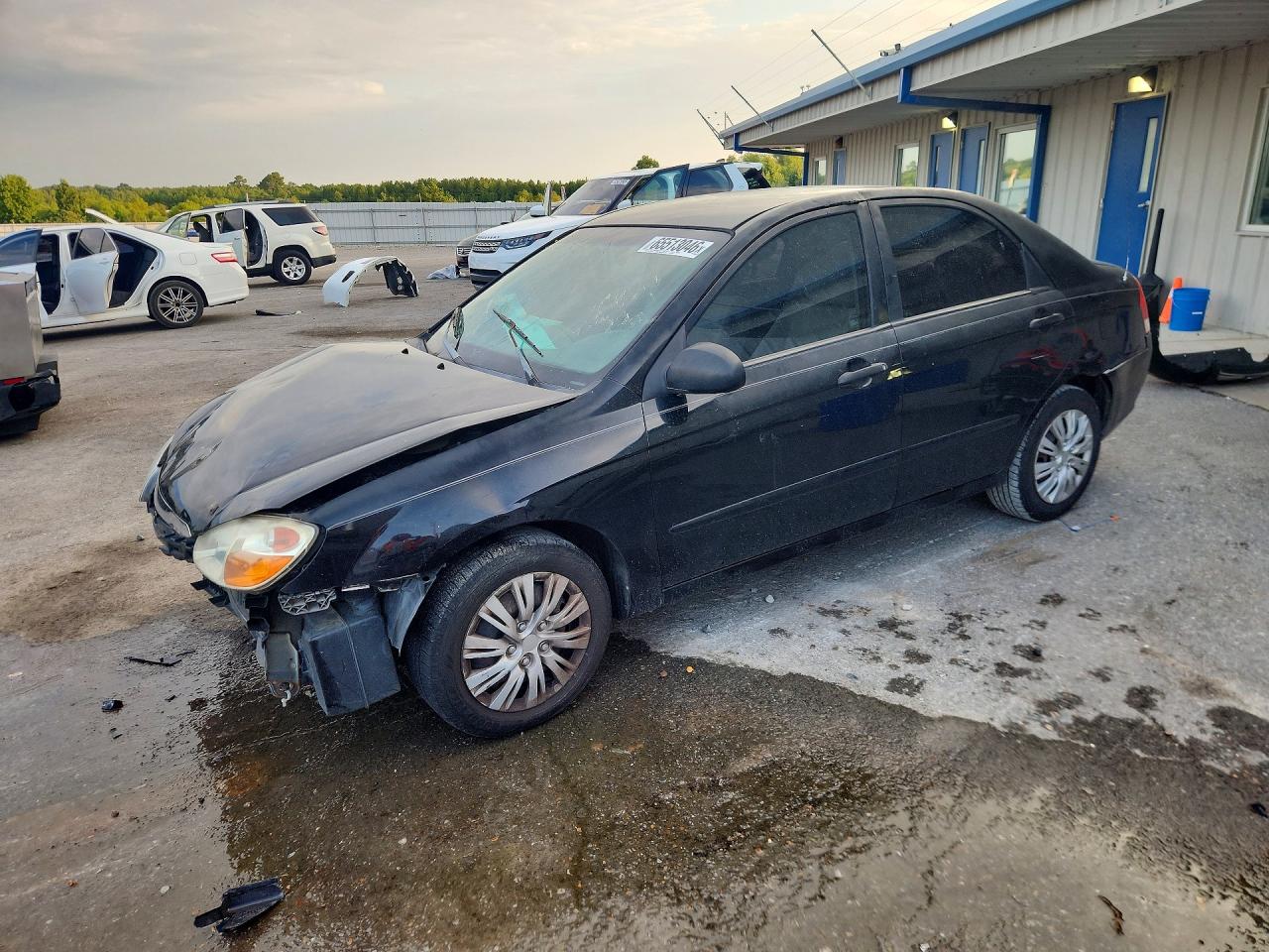 2008 Kia Spectra Lx Black vin: KNAFE121085544081
