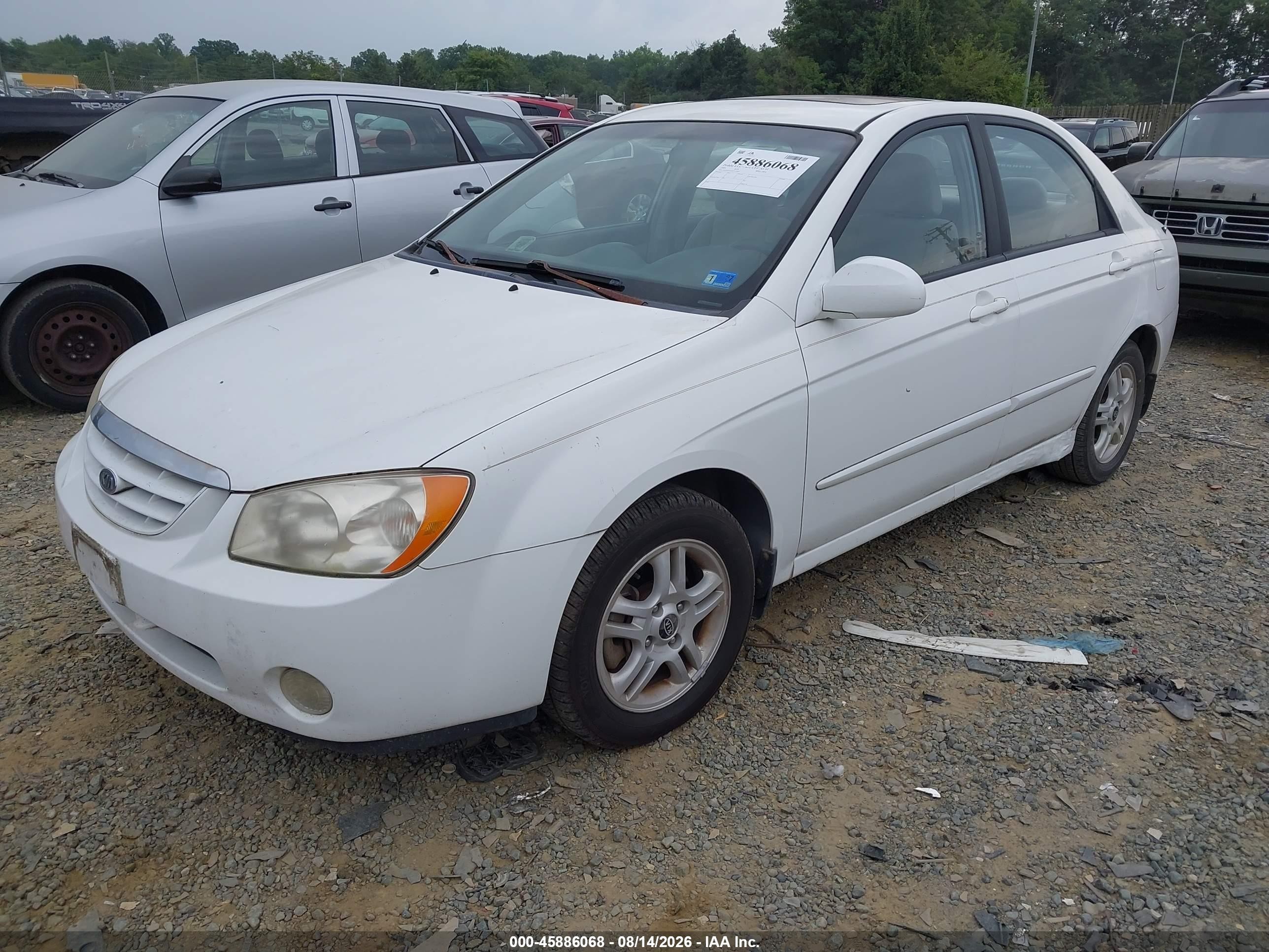 2005 Kia Spectra Ex/lx/sx White vin: KNAFE121855134107
