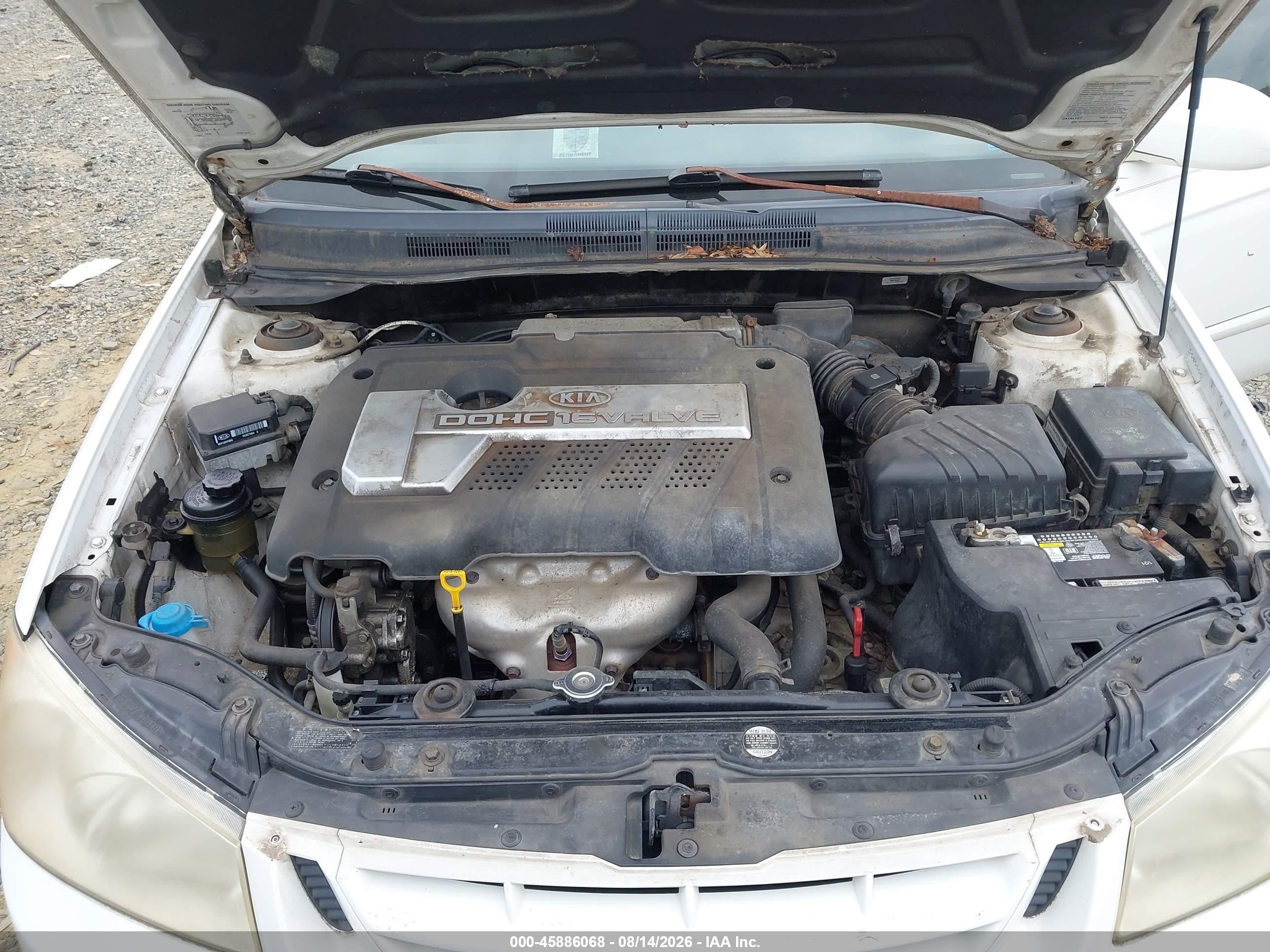 2005 Kia Spectra Ex/lx/sx White vin: KNAFE121855134107