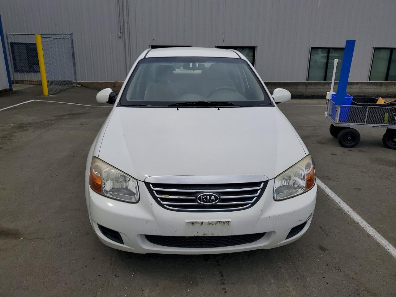 2008 Kia Spectra Lx Белый vin: KNAFE122085580989