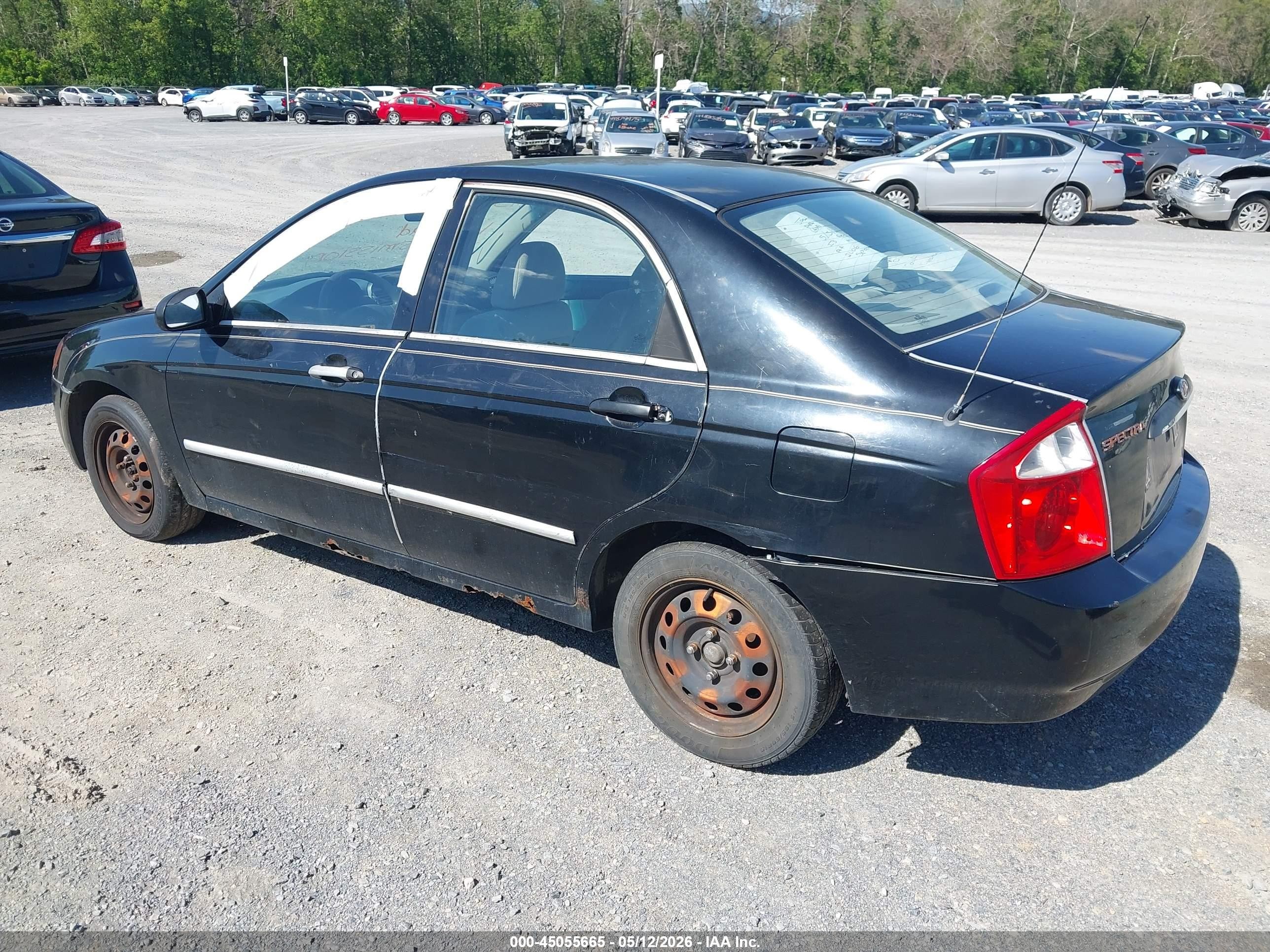 2006 Kia Spectra Ex/lx/sx Black vin: KNAFE122665307309
