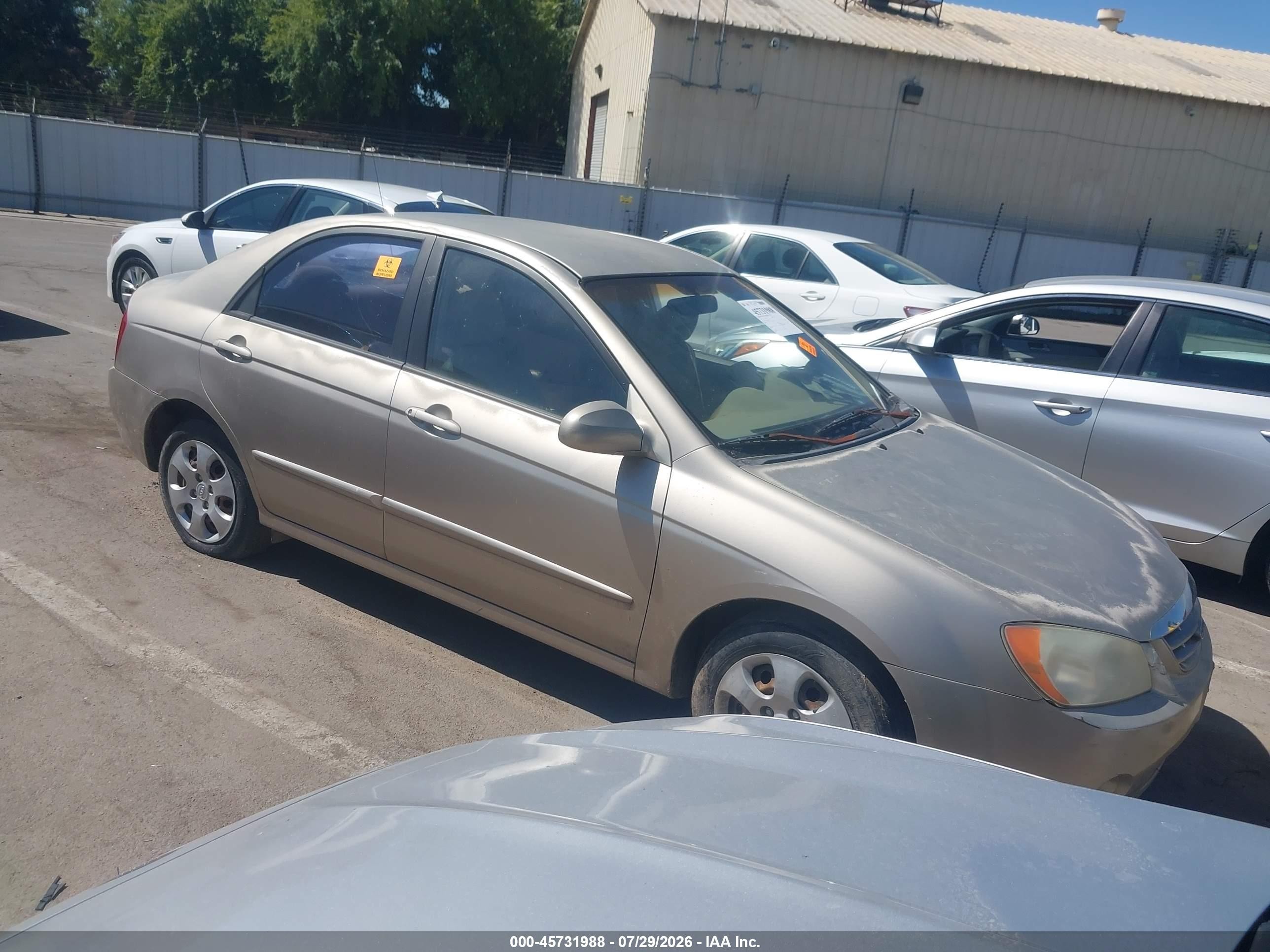 2006 Kia Spectra Ex/lx/sx Gold vin: KNAFE122865261708