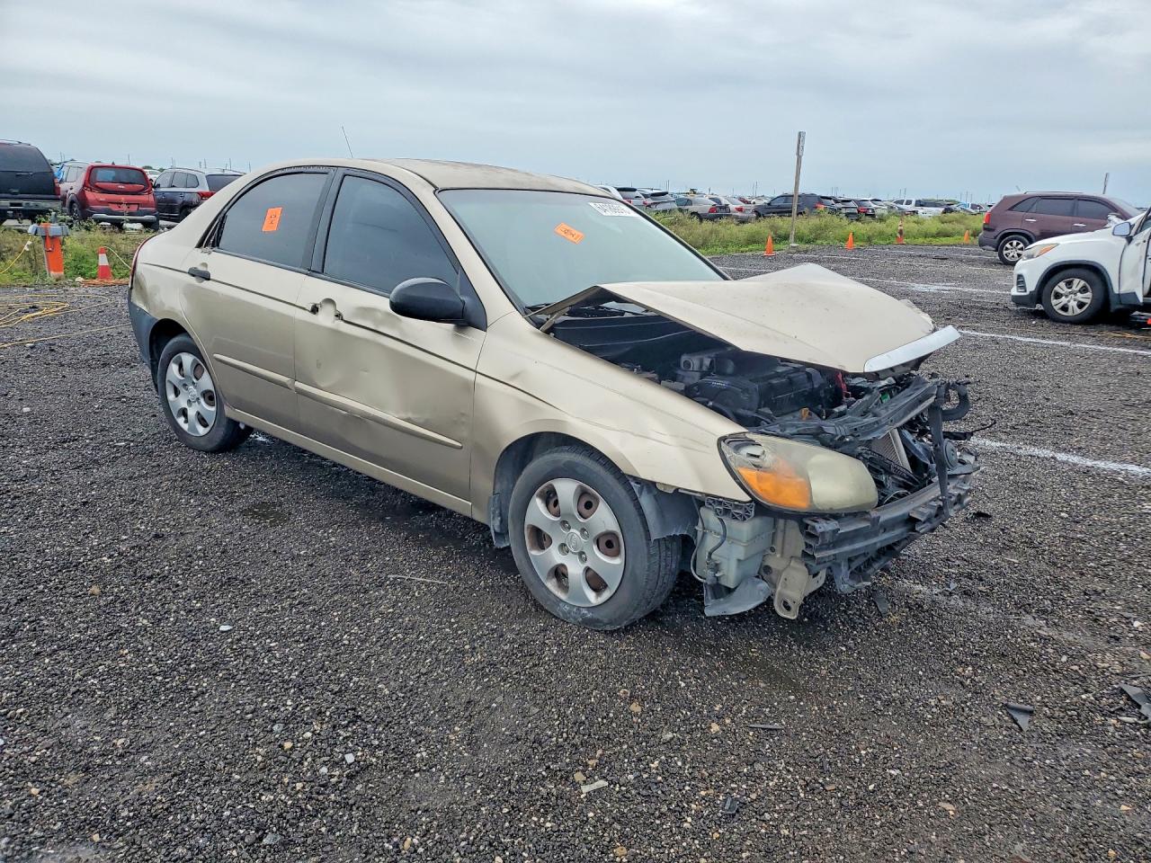 2009 Kia Spectra Lx Gold vin: KNAFE221295598859