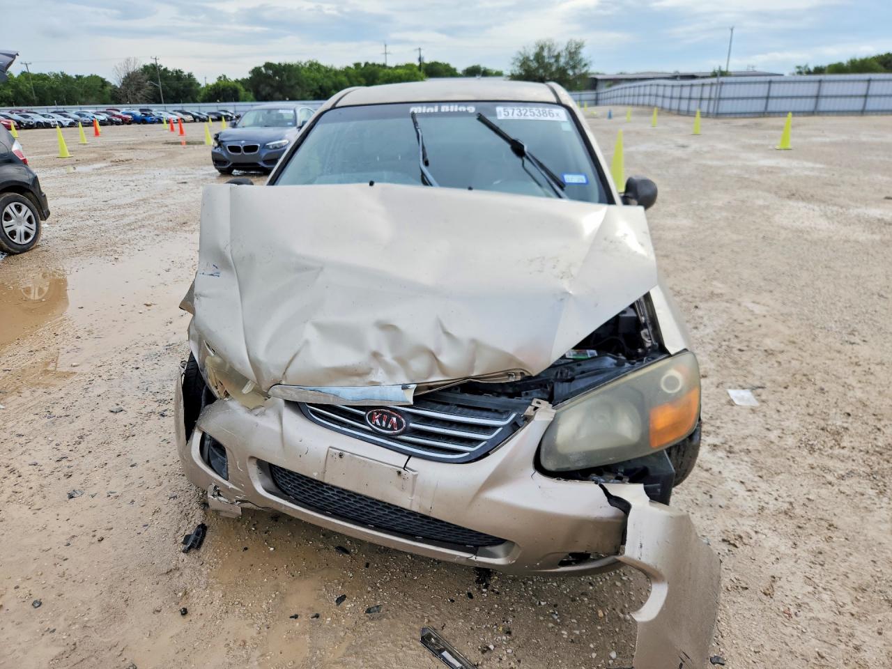 2009 Kia Spectra Lx Gold vin: KNAFE221695588447