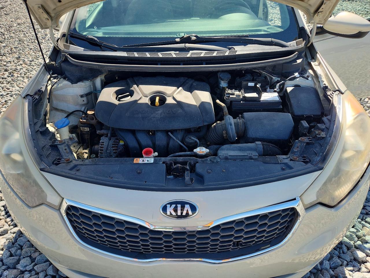 2015 Kia Forte Lx Cream vin: KNAFK4A62F5324347