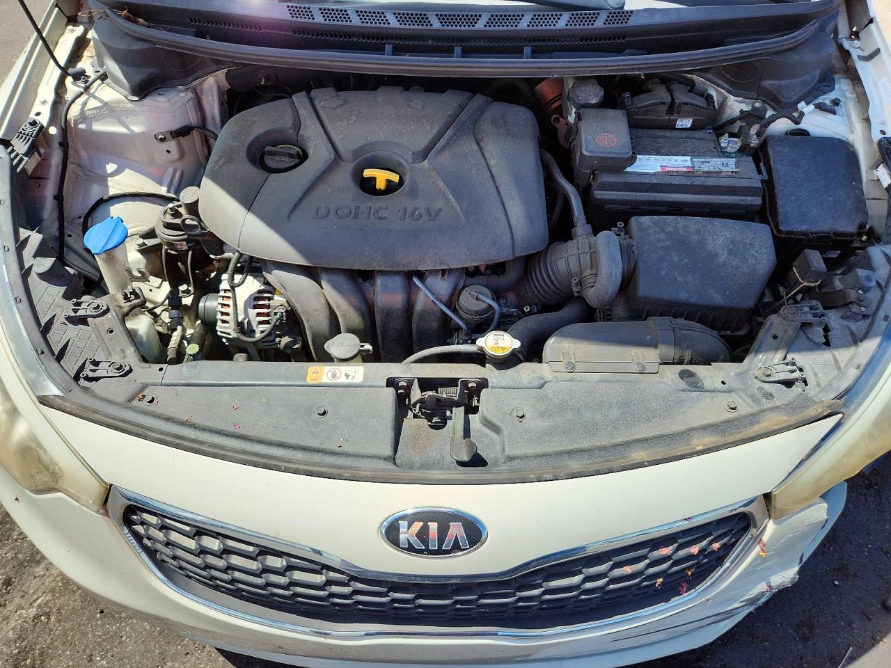 2015 Kia Forte Lx Cream vin: KNAFK4A64F5293778