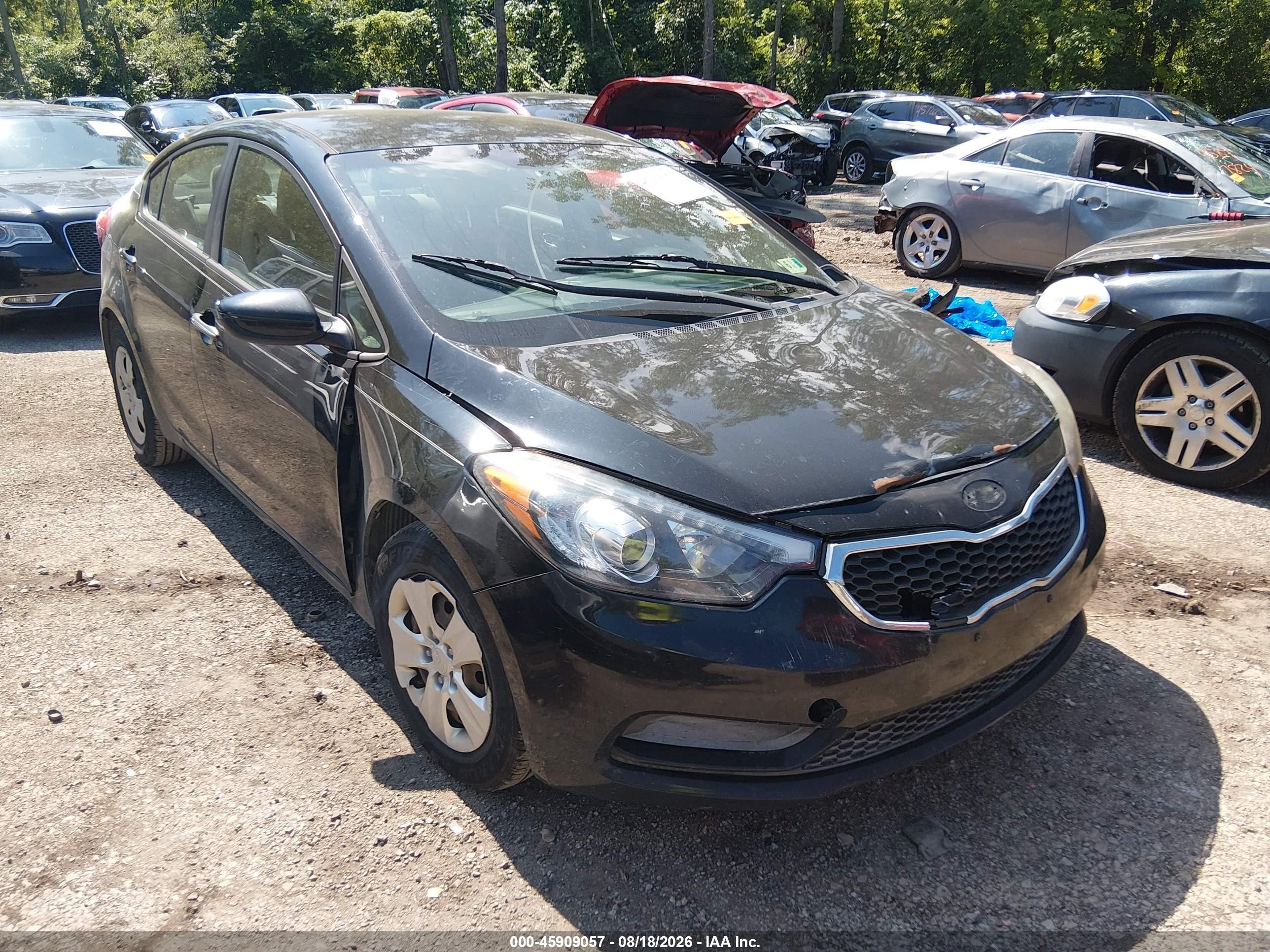 2014 Kia Forte Lx Black vin: KNAFK4A67E5184648