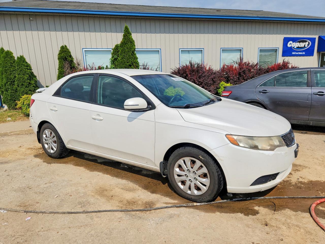 2012 Kia Forte Ex White vin: KNAFU4A22C5519920