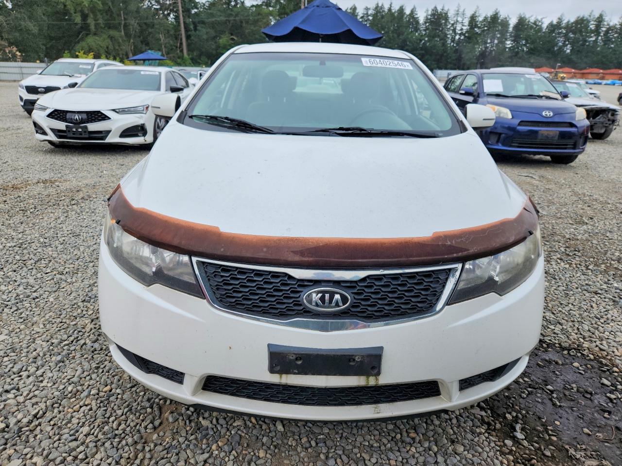 2011 Kia Forte Ex White vin: KNAFU4A25B5403805