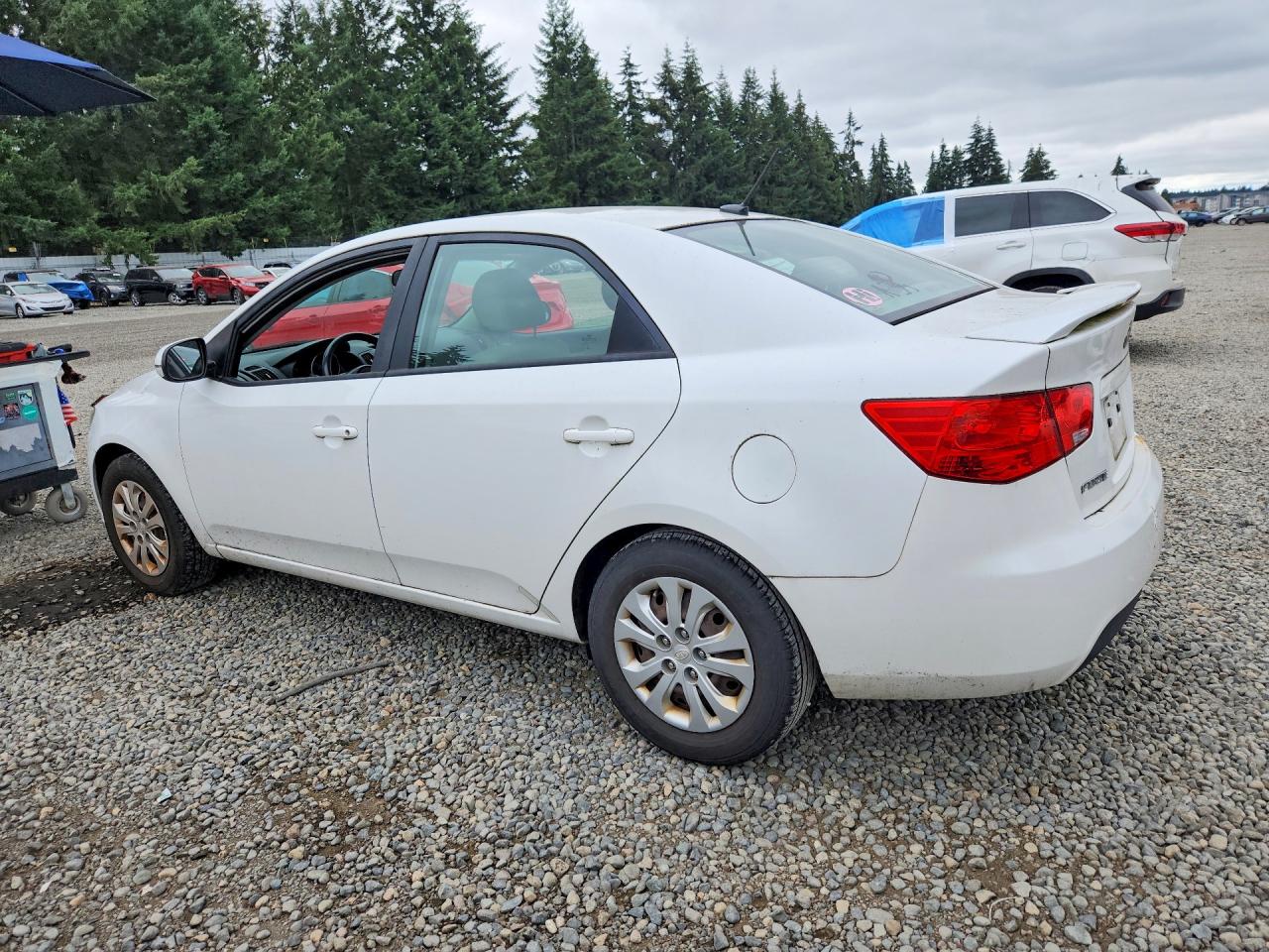 2011 Kia Forte Ex White vin: KNAFU4A25B5403805