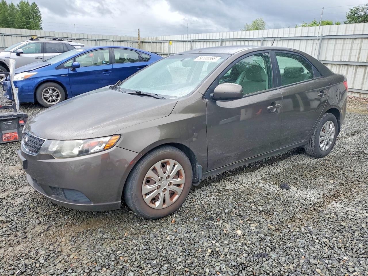 2011 Kia Forte Ex Gray vin: KNAFU4A29B5403662