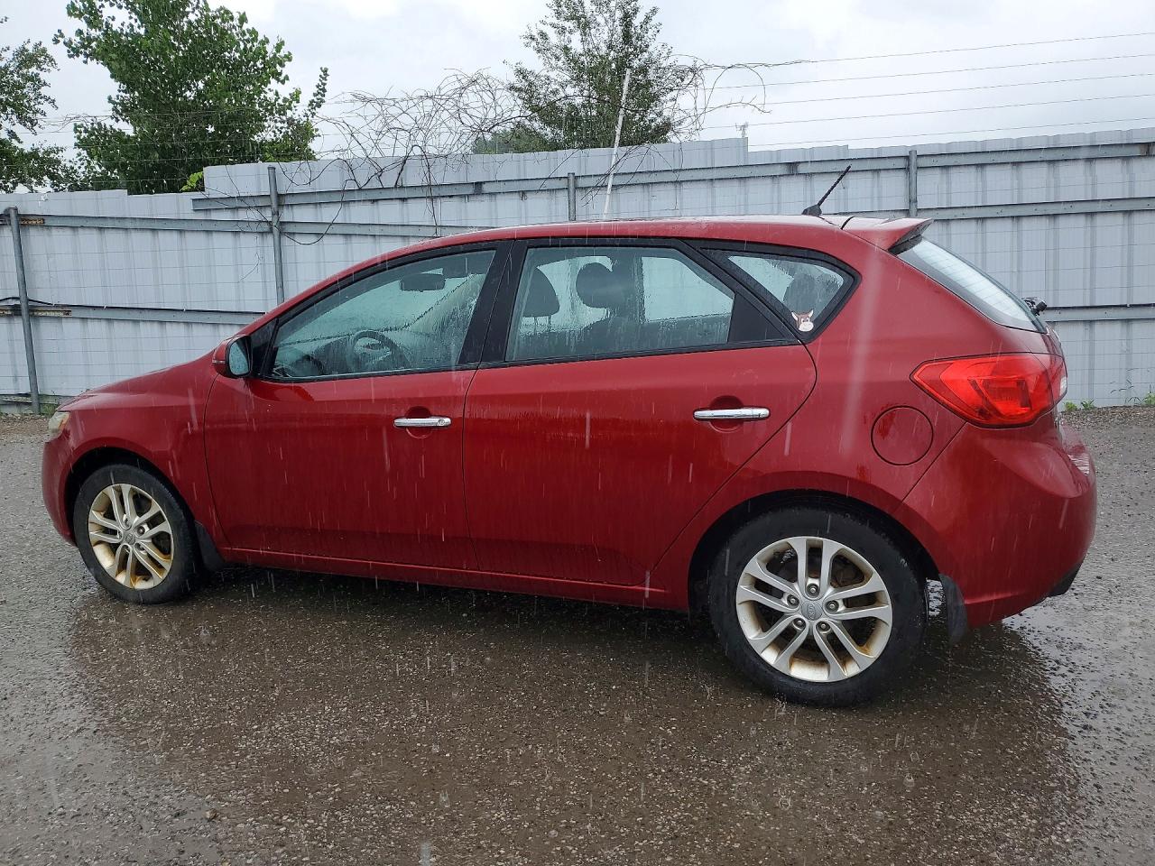 2012 Kia Forte Ex Maroon vin: KNAFU5A26C5558211