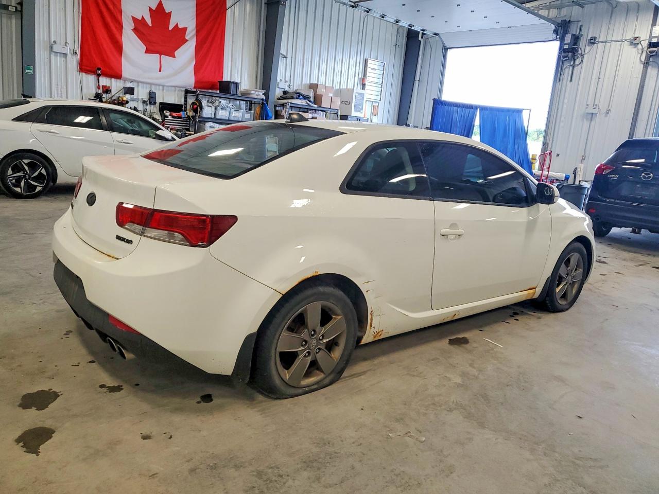 2012 Kia Forte Koup Ex White vin: KNAFU6A21C5589596