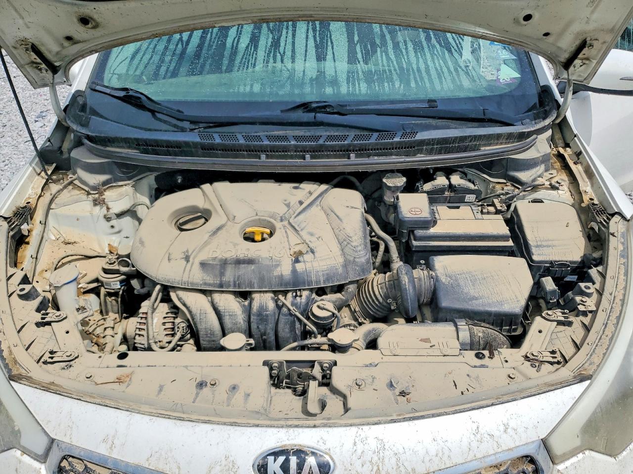2015 Kia Forte Lx Белый vin: KNAFX4A62F5303046