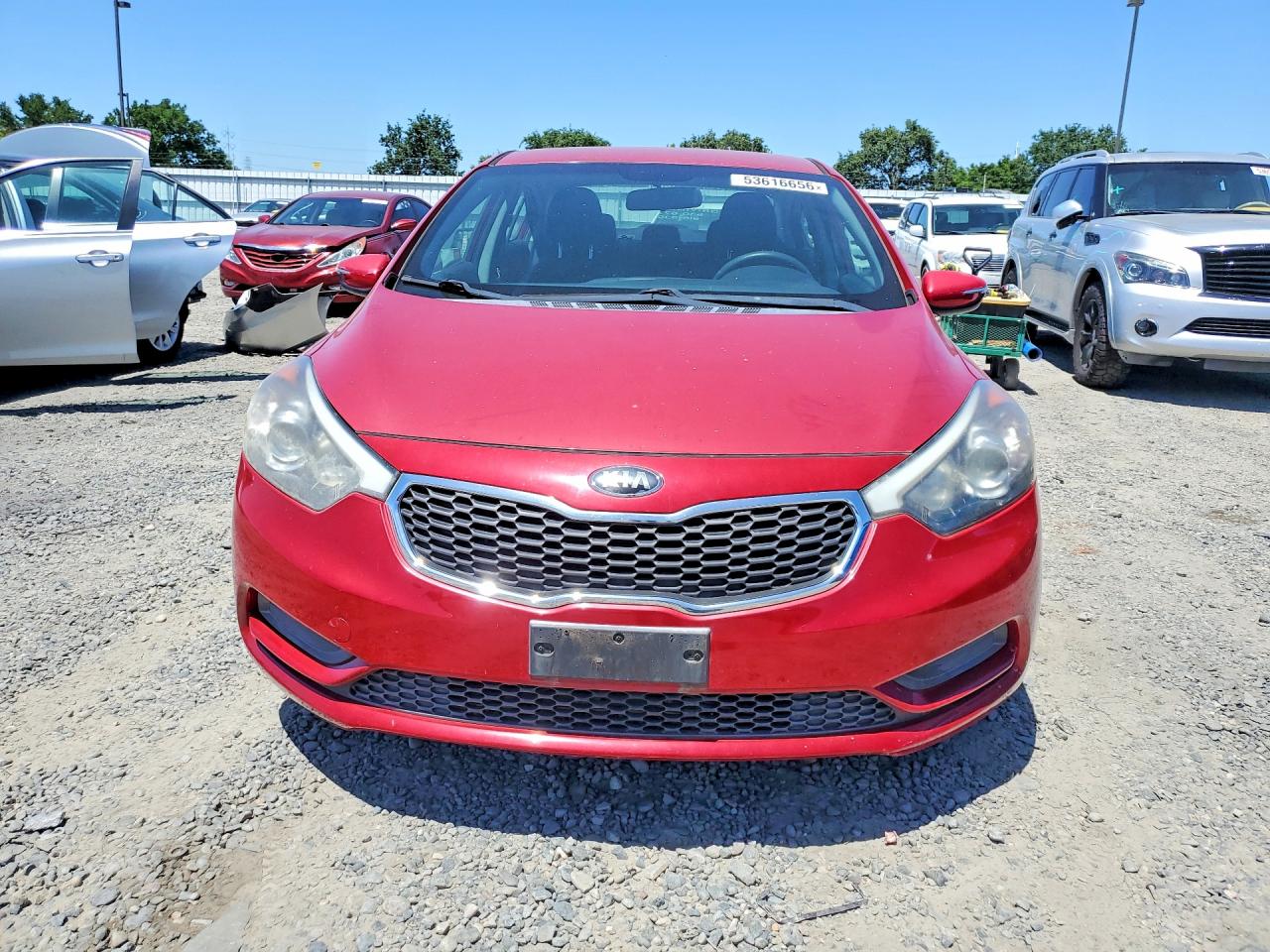 2015 Kia Forte Lx Красный vin: KNAFX4A64F5302061