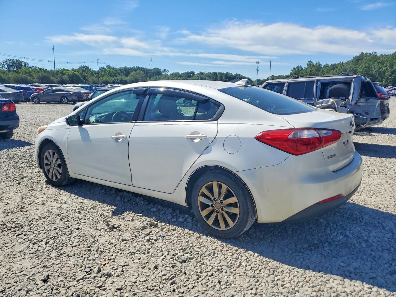 2014 Kia Forte Lx Белый vin: KNAFX4A66E5206964