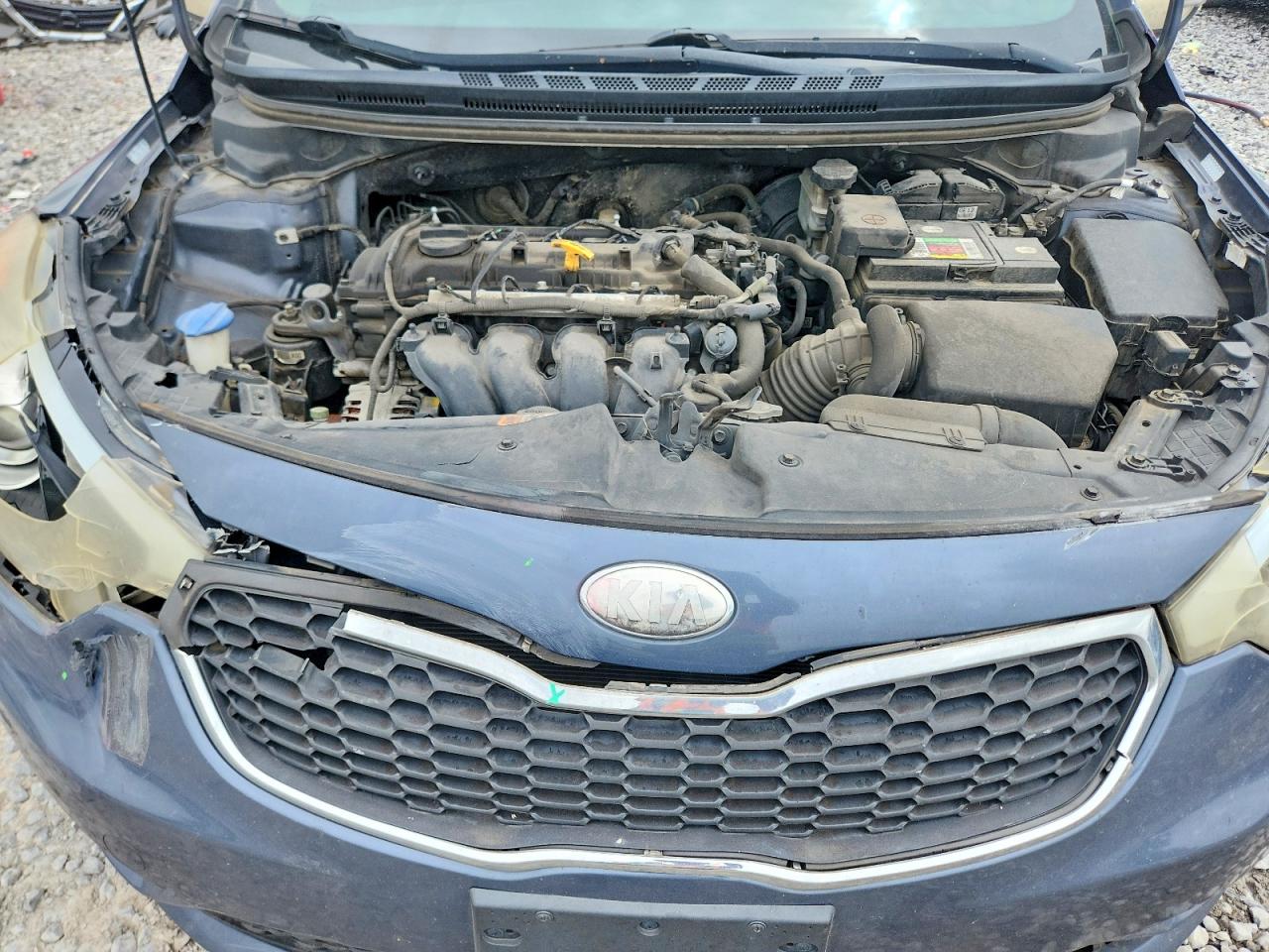 2014 Kia Forte Lx Blue vin: KNAFX4A67E5079674
