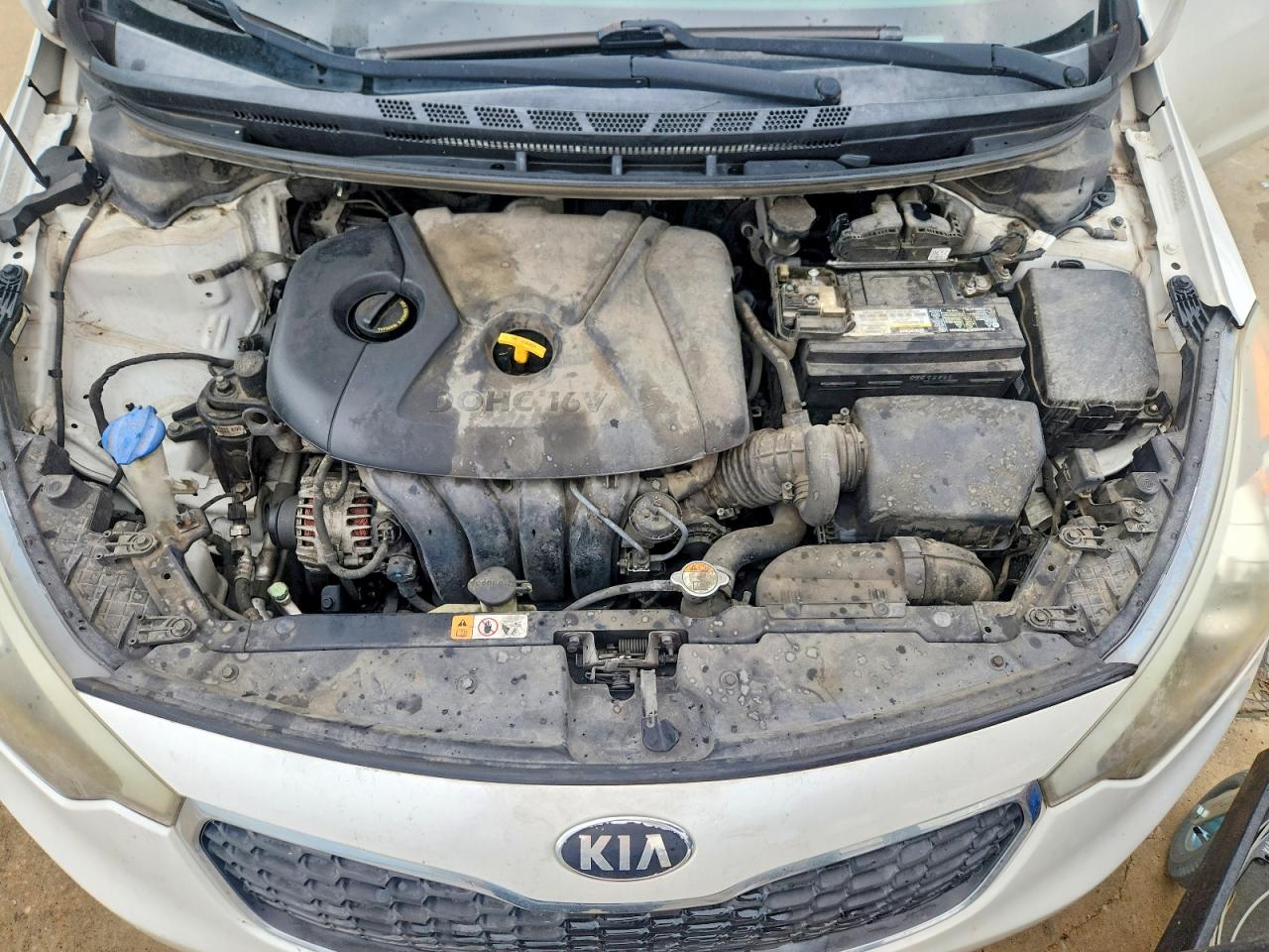2015 Kia Forte Lx Белый vin: KNAFX4A68F5355829