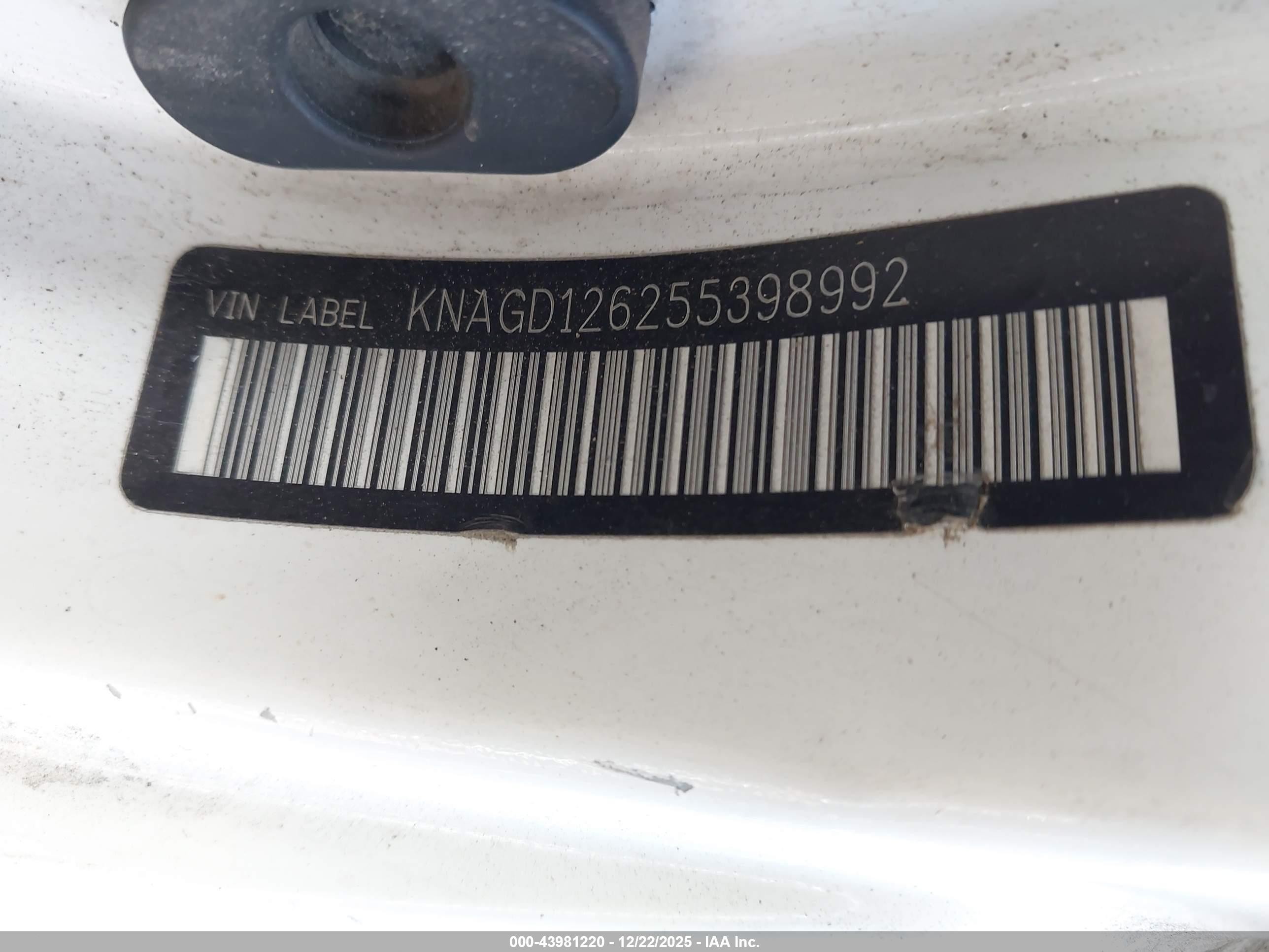 2005 Kia Optima Ex/lx White vin: KNAGD126255398992