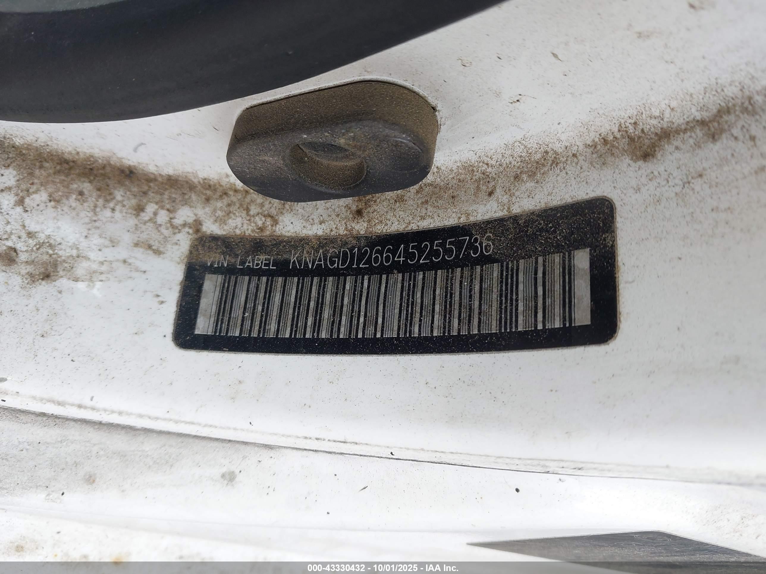 2004 Kia Optima Ex/lx White vin: KNAGD126645255736