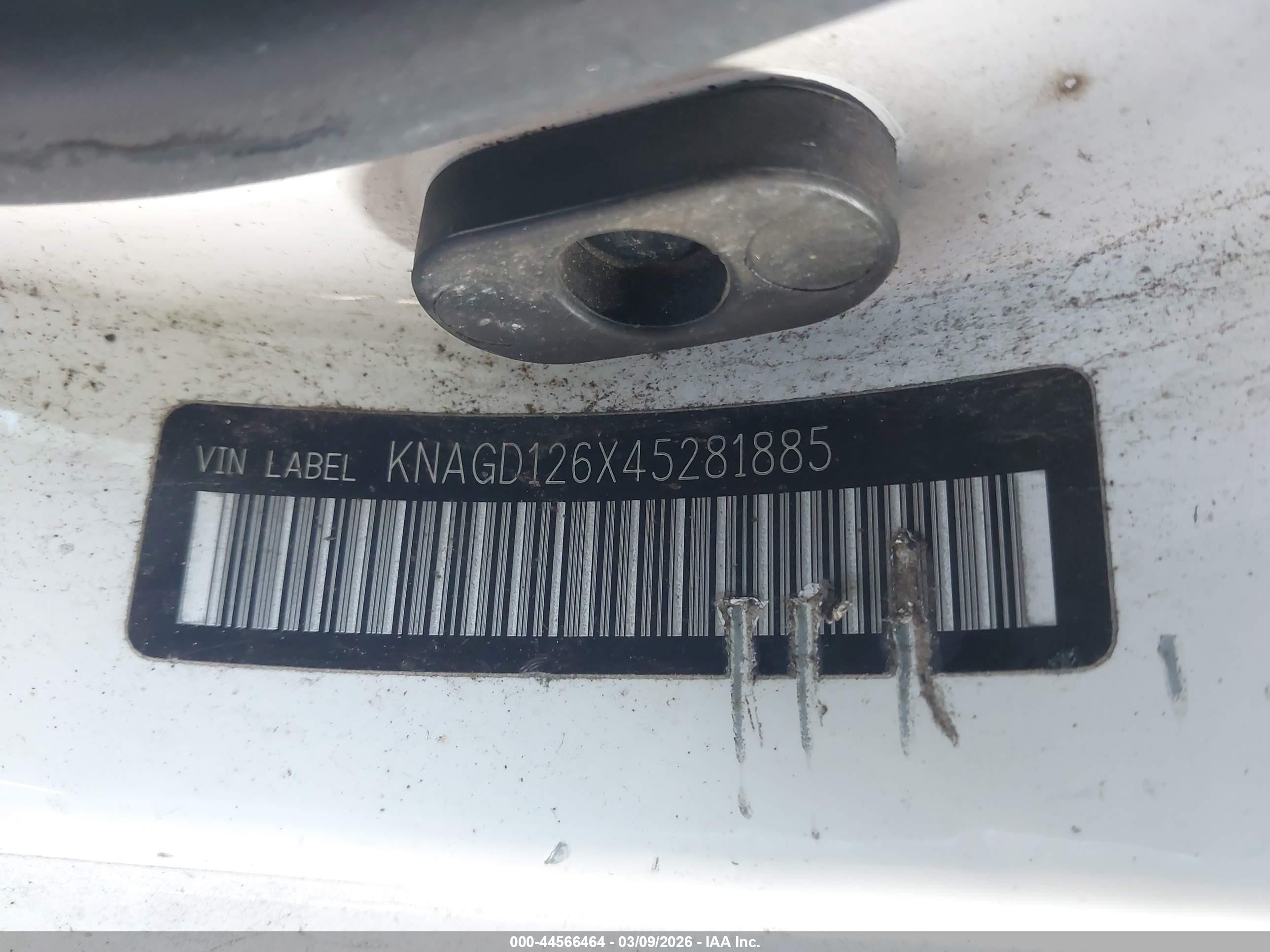 2004 Kia Optima Ex/lx Белый vin: KNAGD126X45281885