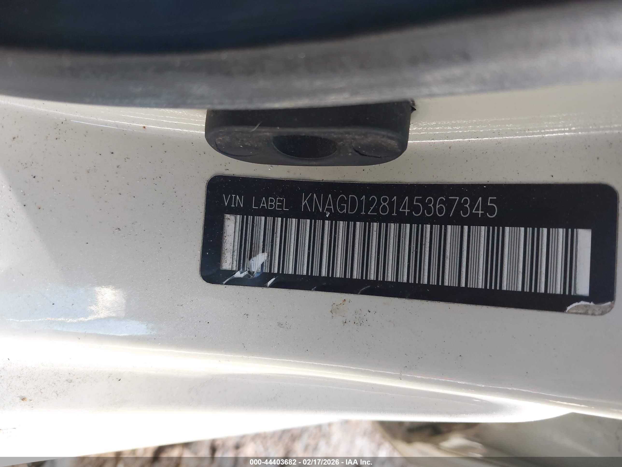 2004 Kia Optima Ex V6/lx V6 Белый vin: KNAGD128145367345