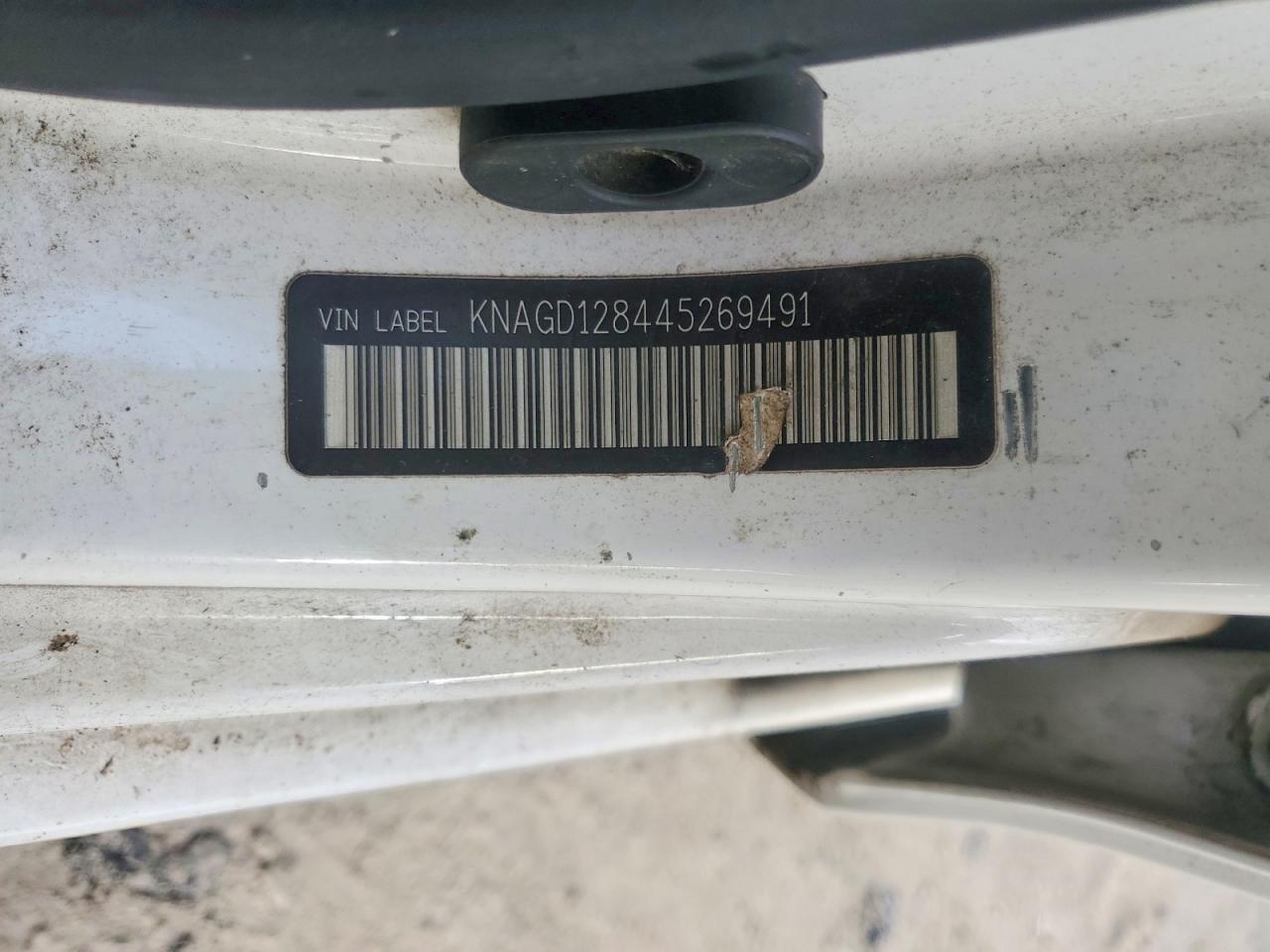 2004 Kia Optima Lx/ex White vin: KNAGD128445269491