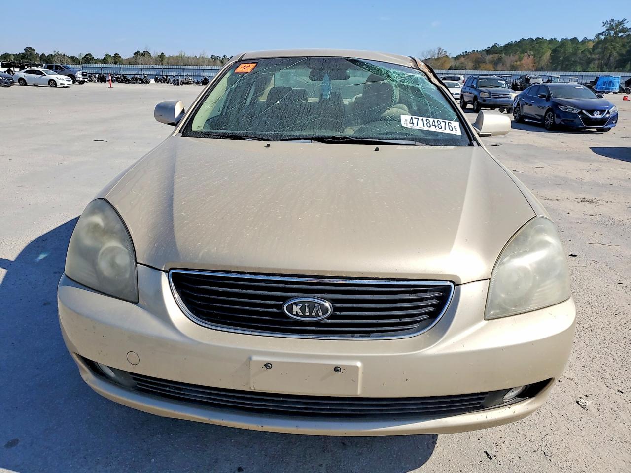 2008 Kia Optima Lx Beige vin: KNAGE123385226588