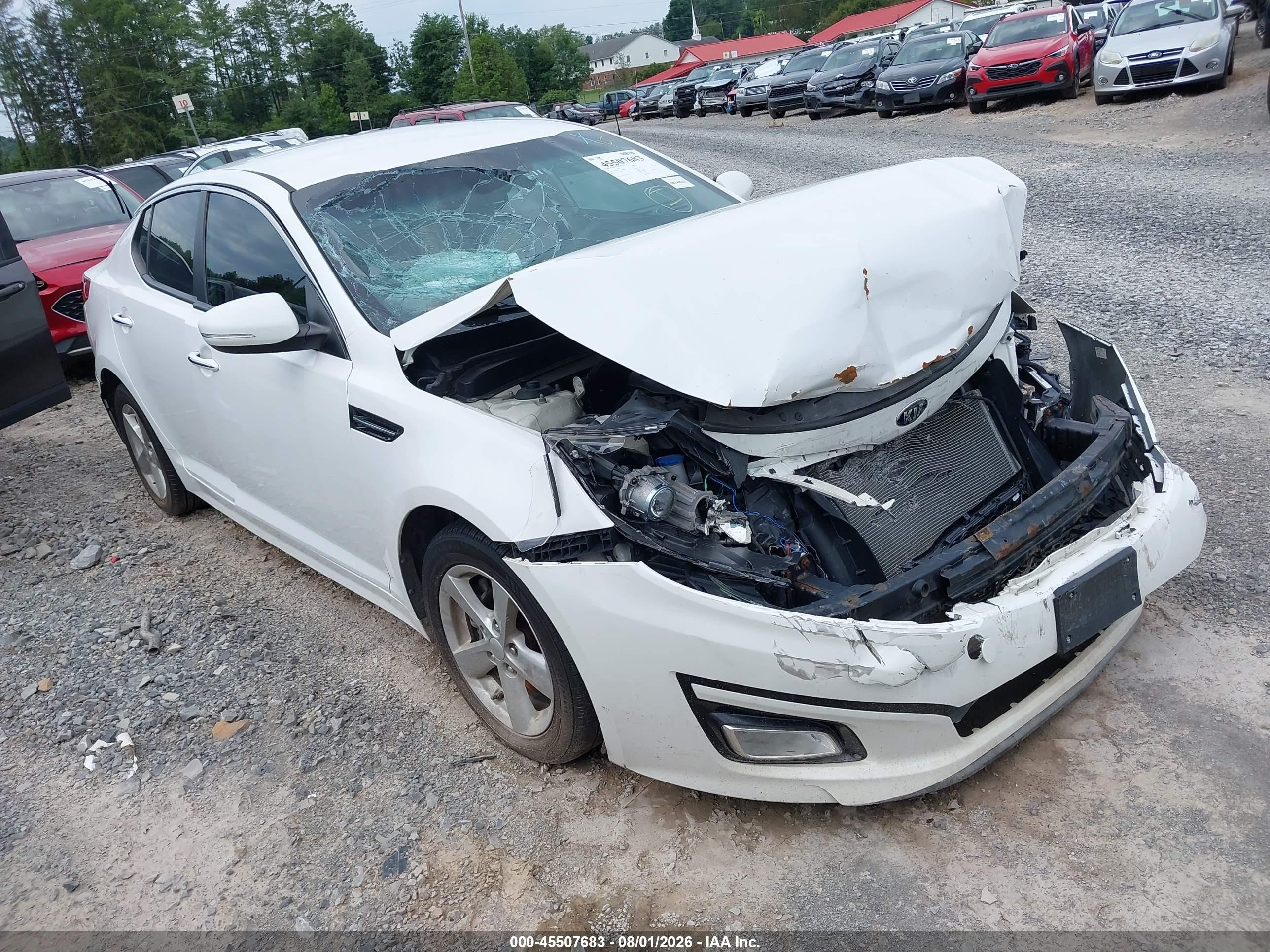 2015 Kia Optima Lx Белый vin: KNAGM4A70F5636741
