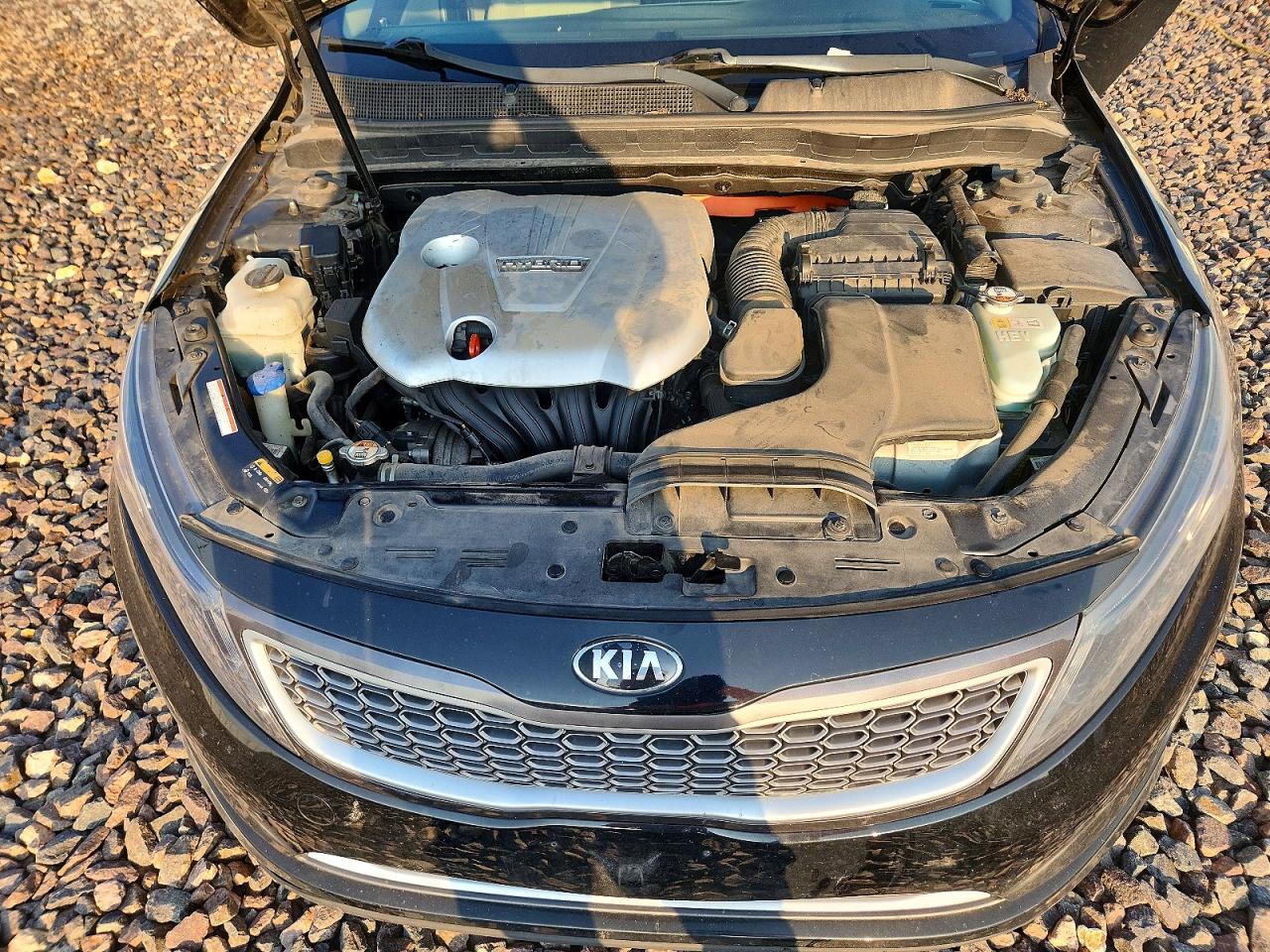 2015 Kia Optima Hybrid Черный vin: KNAGM4AD1F5084351