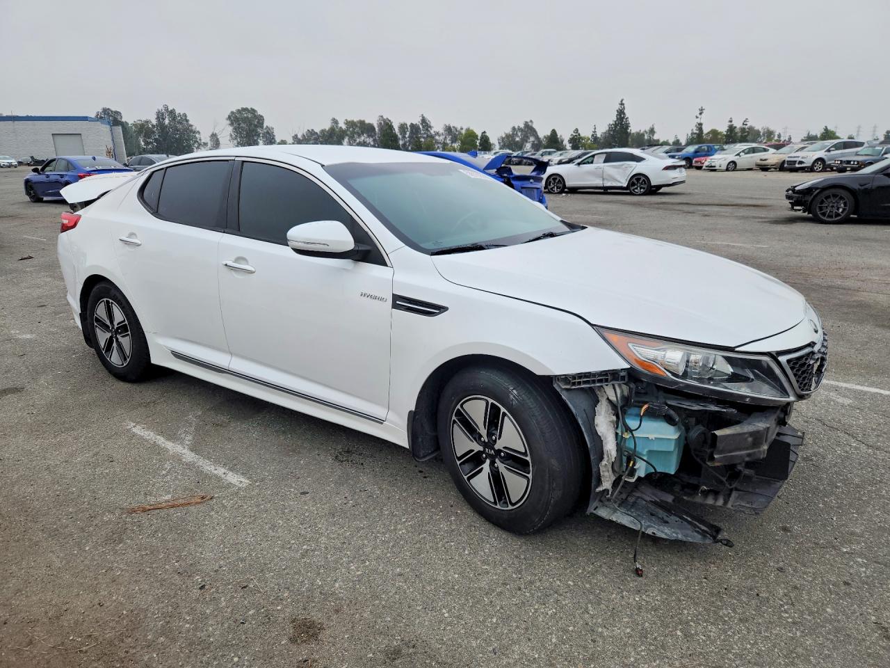 2013 Kia Optima Hybrid Белый vin: KNAGM4AD3D5046844