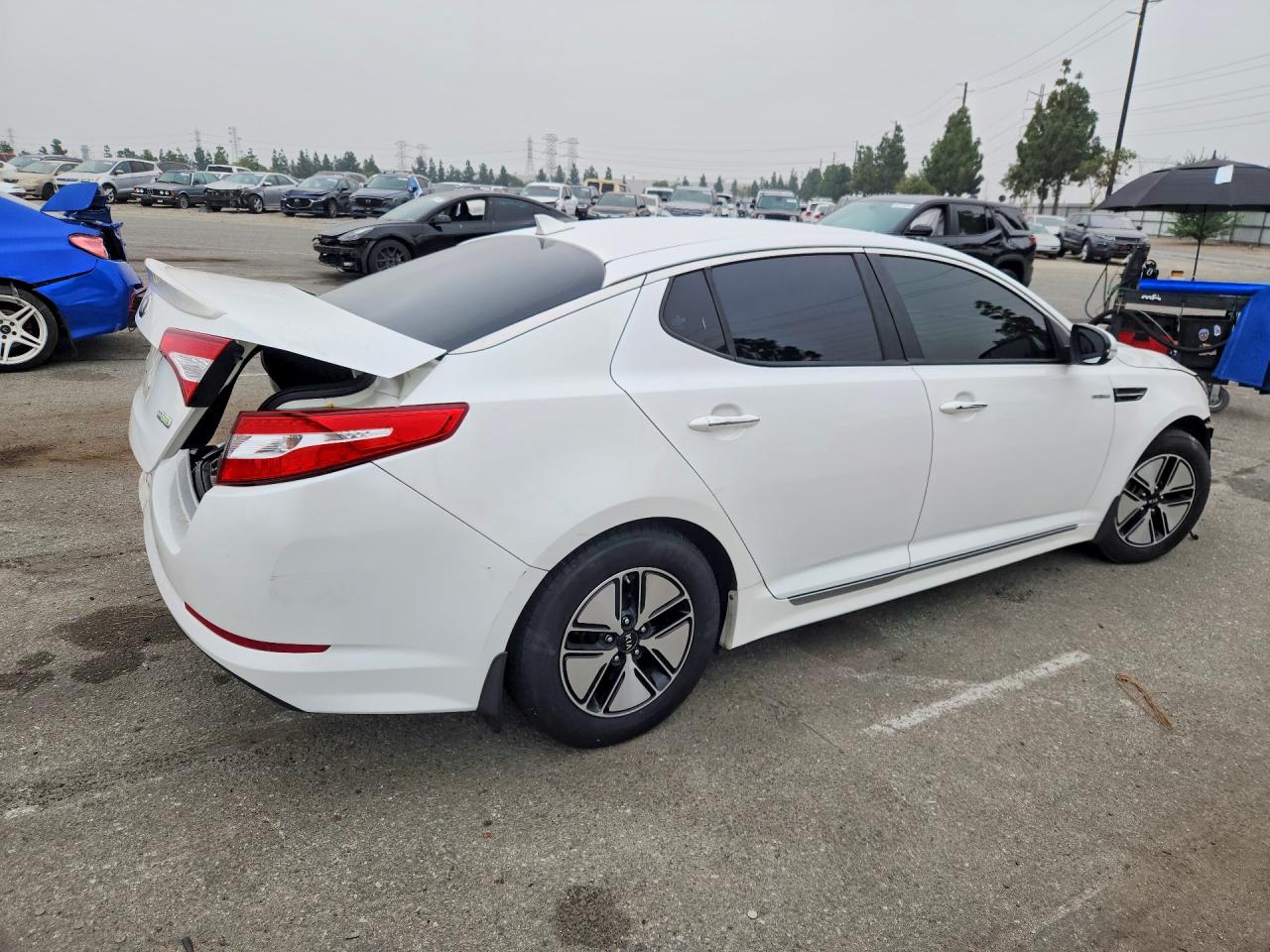 2013 Kia Optima Hybrid Белый vin: KNAGM4AD3D5046844