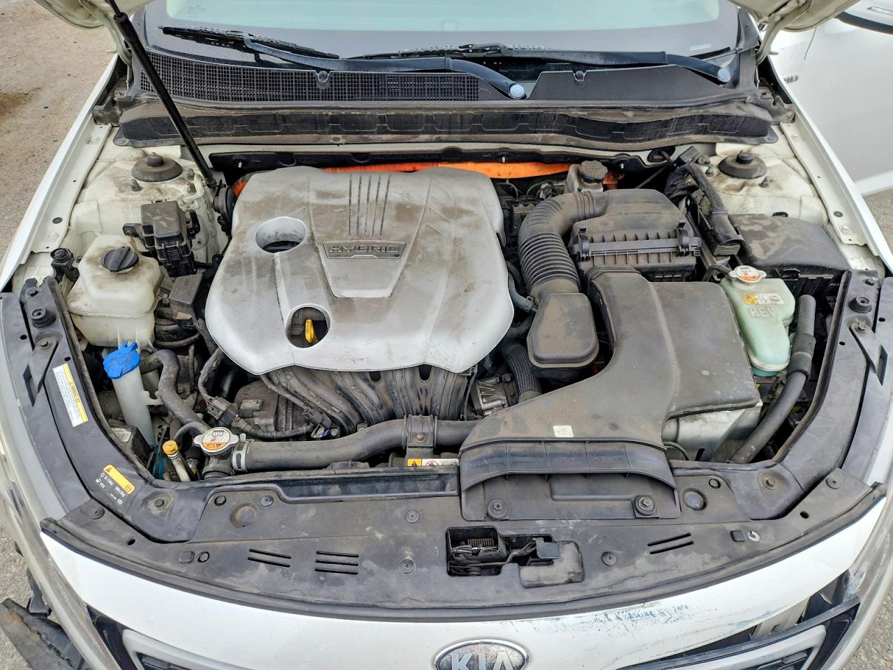 2013 Kia Optima Hybrid Белый vin: KNAGM4AD3D5046844