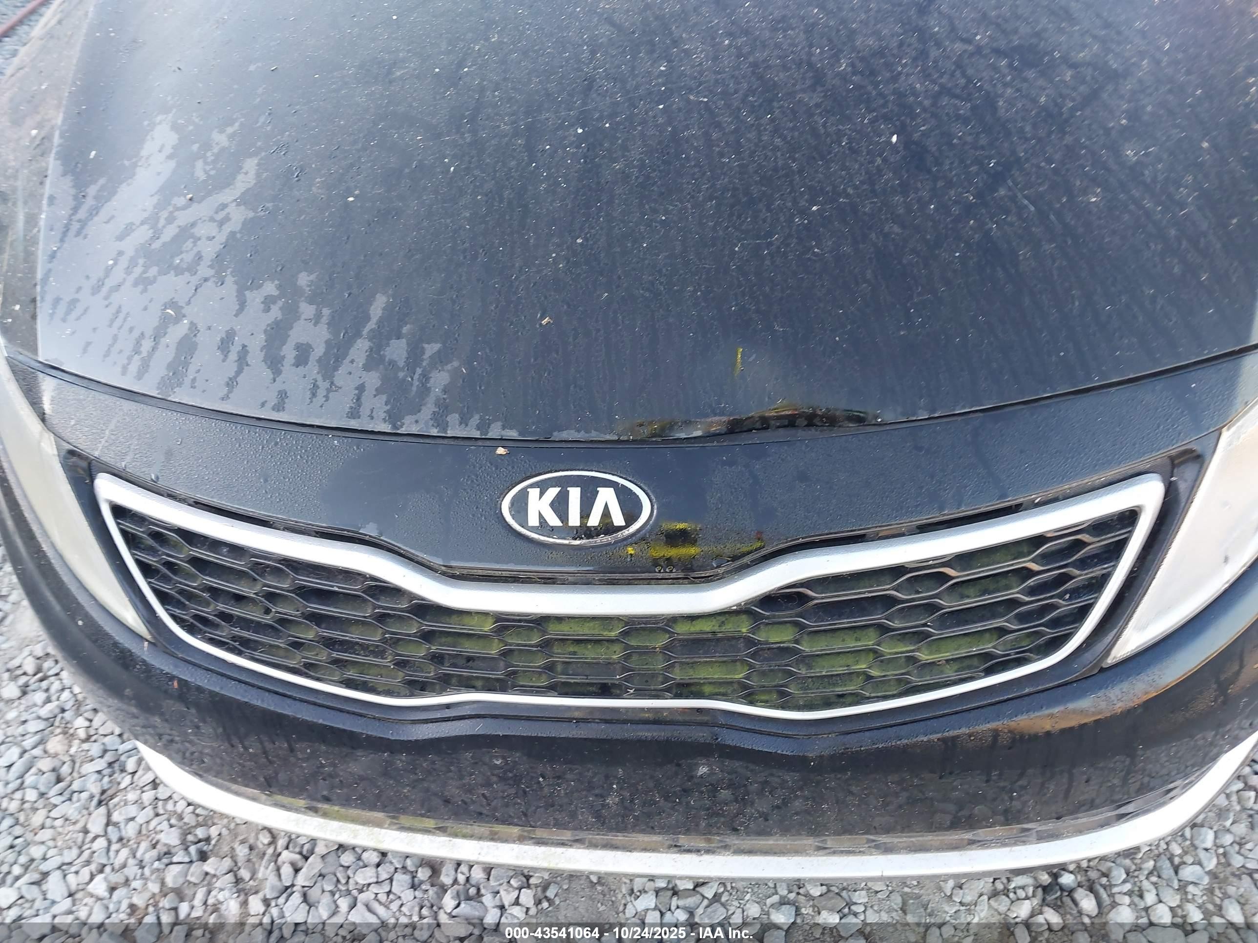 2013 Kia Optima Hybrid Ex Black vin: KNAGM4AD5D5061006