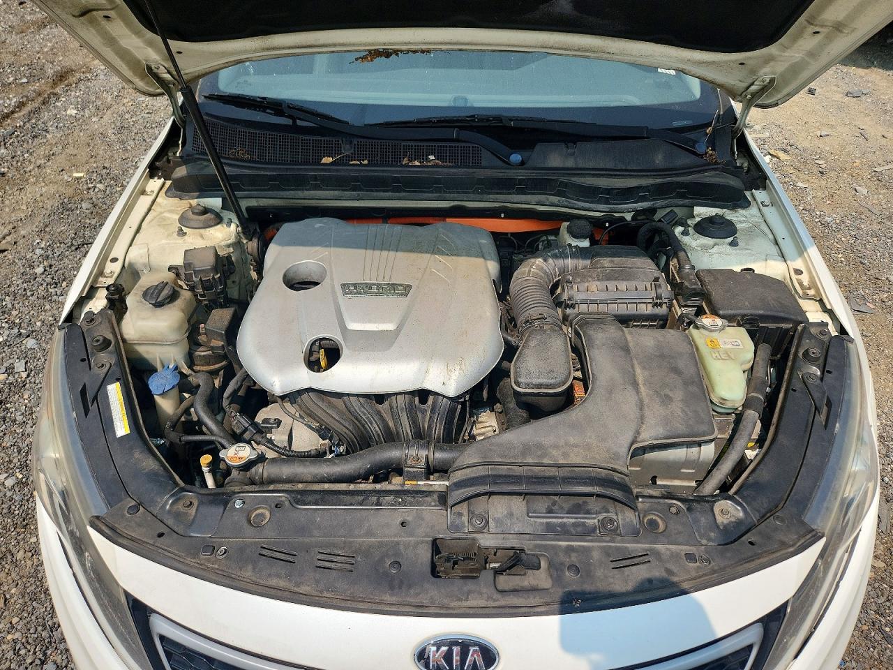 2012 Kia Optima Hybrid White vin: KNAGM4AD7C5018043
