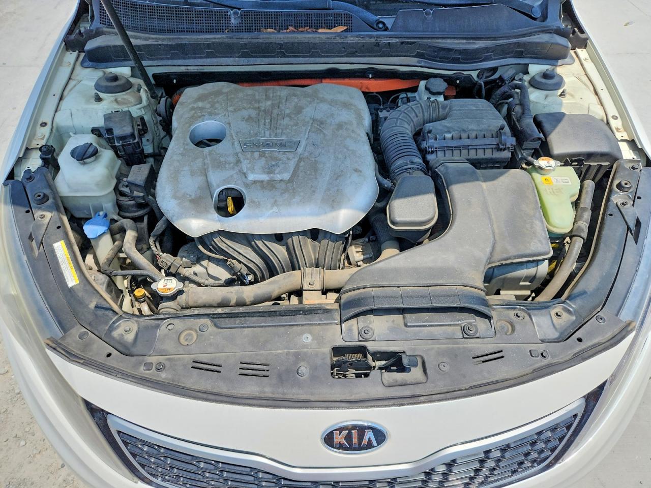 2012 Kia Optima Hybrid Белый vin: KNAGM4AD8C5017709