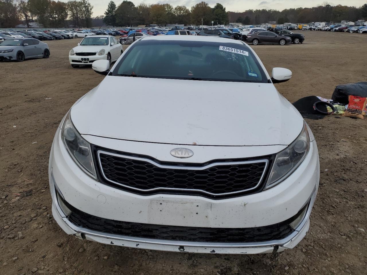 2012 Kia Optima Hybrid White vin: KNAGM4ADXC5031238