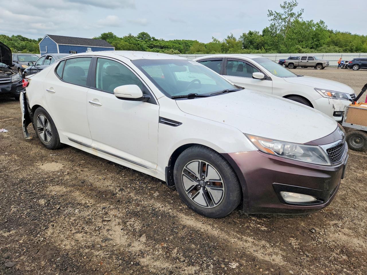 2013 Kia Optima Hybrid Белый vin: KNAGM4ADXD5060966