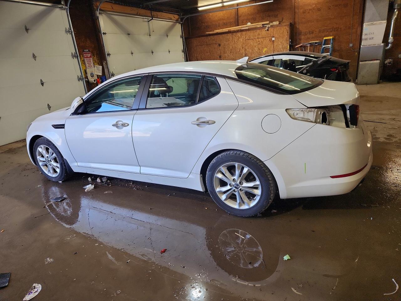 2011 Kia Optima Ex White vin: KNAGN4A79B5082834