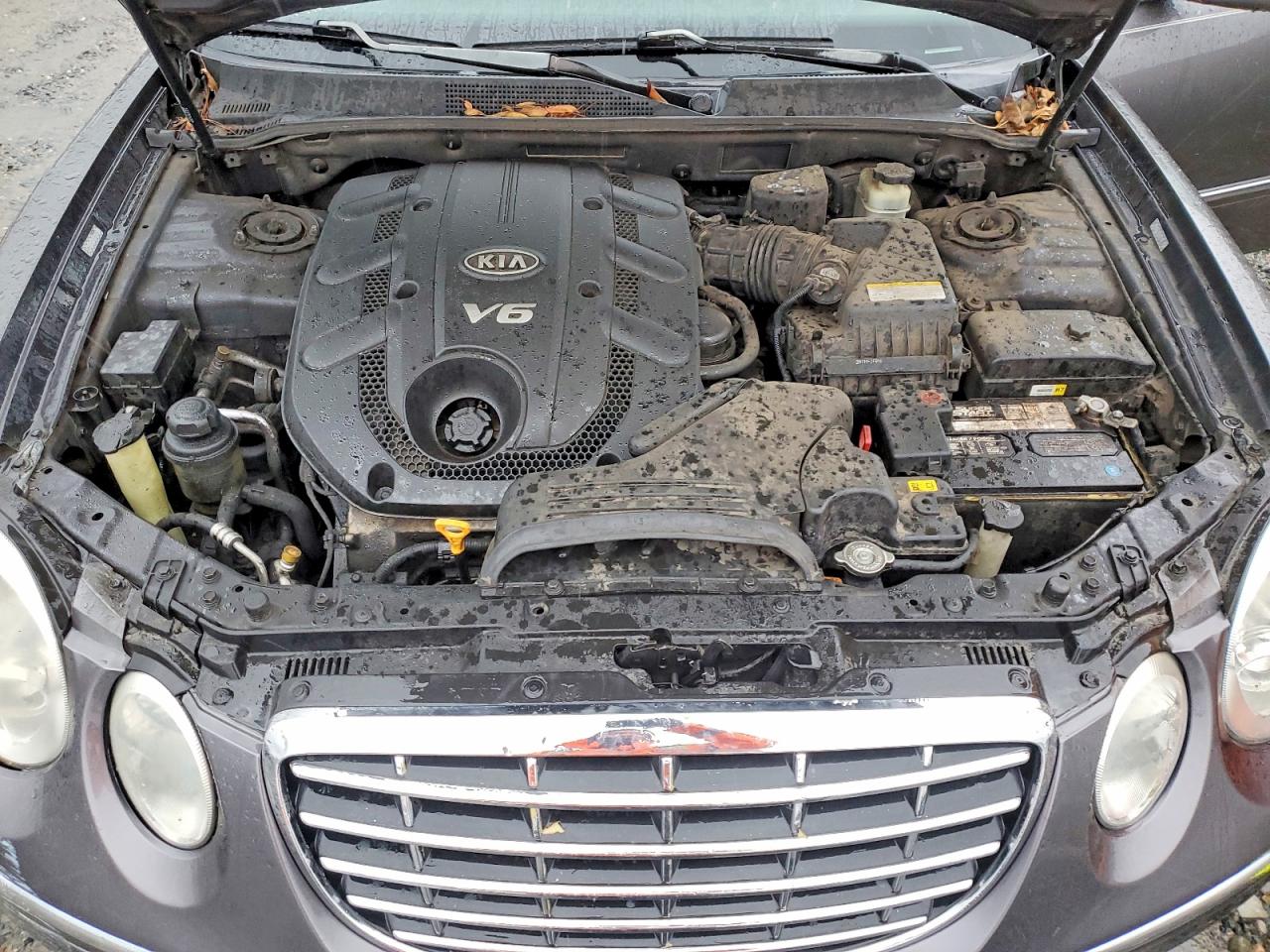 2008 Kia Amanti Серый vin: KNALD125185167902