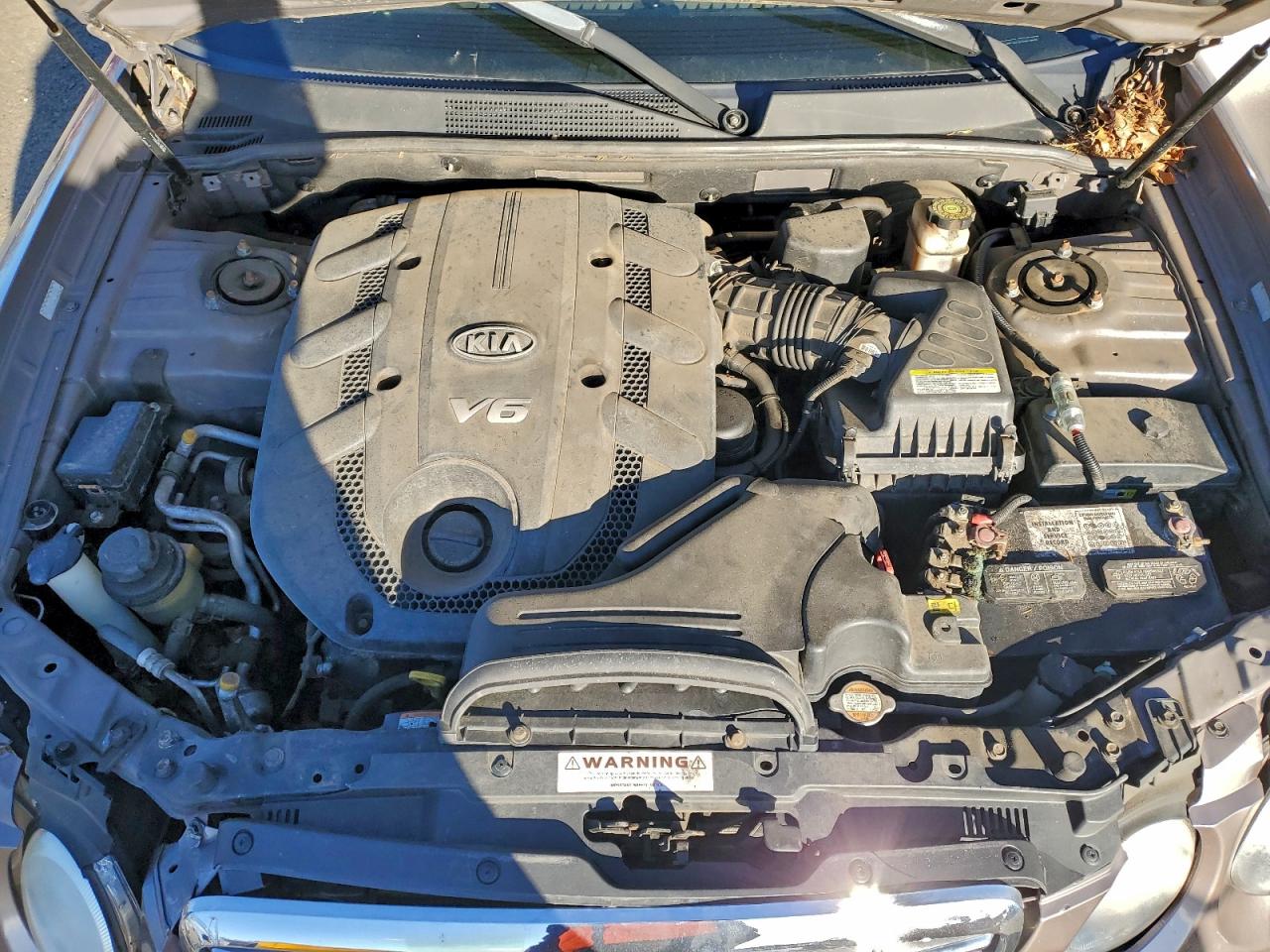 2008 Kia Amanti Tan vin: KNALD125285145973