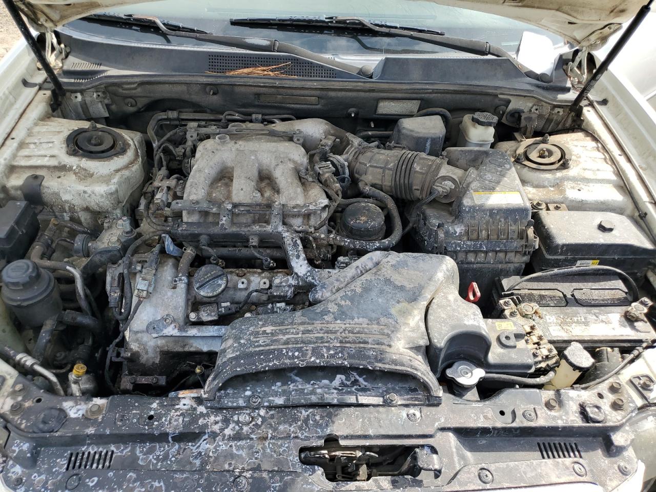 2008 Kia Amanti Белый vin: KNALD125485167571