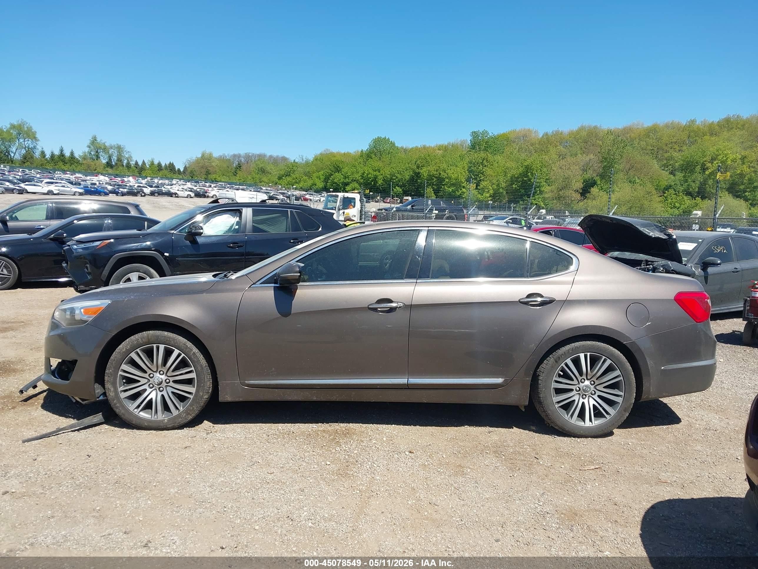 2014 Kia Cadenza Premium Gray vin: KNALN4D70E5160738