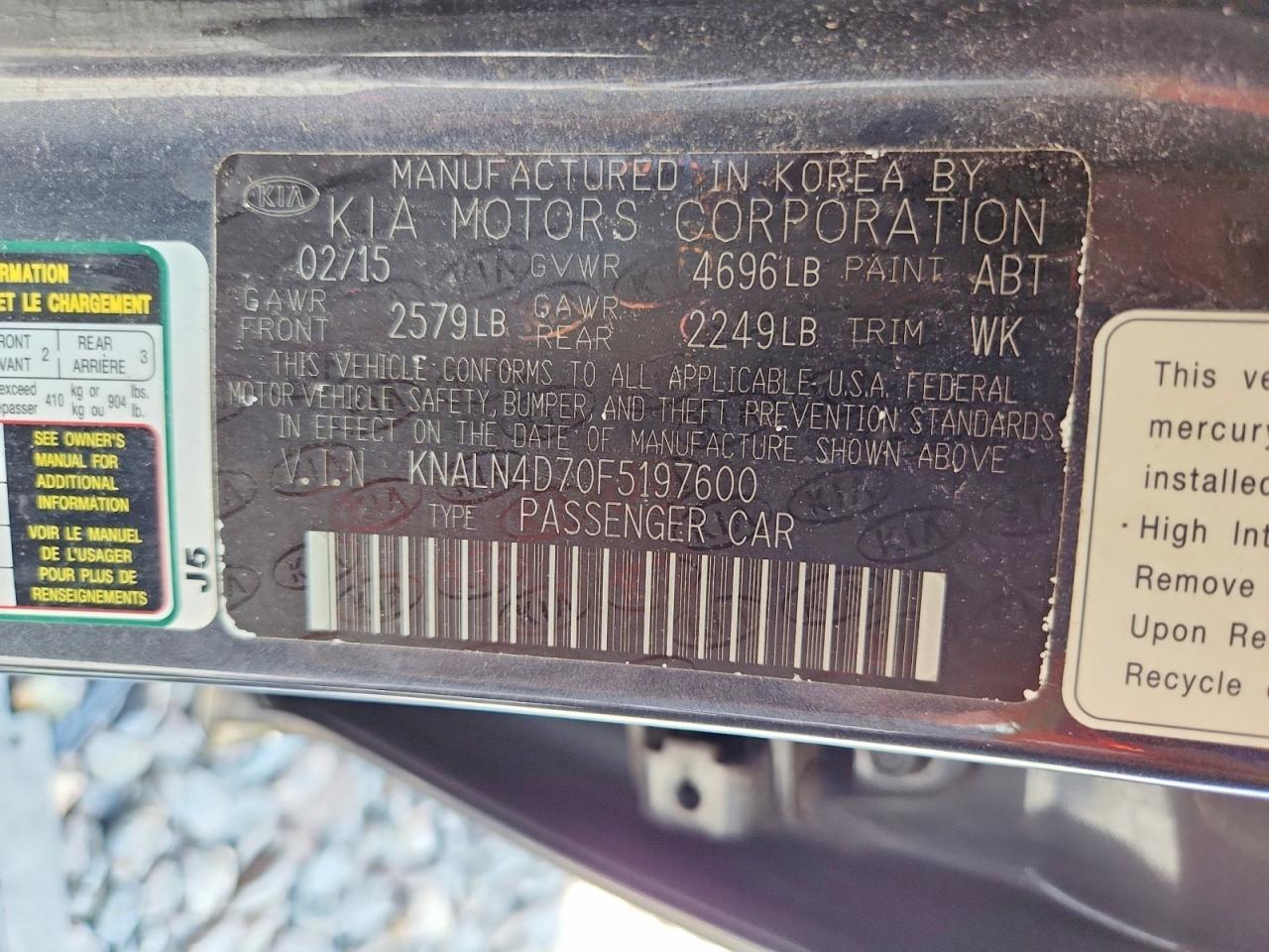 2015 Kia Cadenza Premium Gray vin: KNALN4D70F5197600