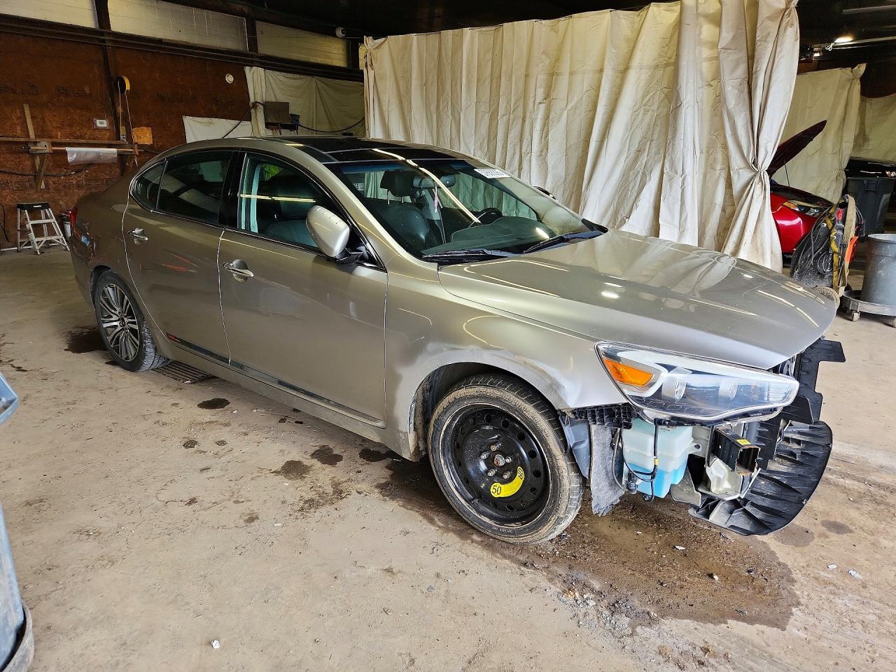 2014 Kia Cadenza Premium Gold vin: KNALN4D71E5121480