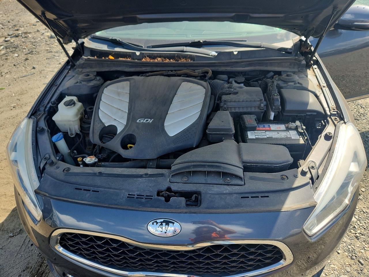 2014 Kia Cadenza Premium Gray vin: KNALN4D71E5131930