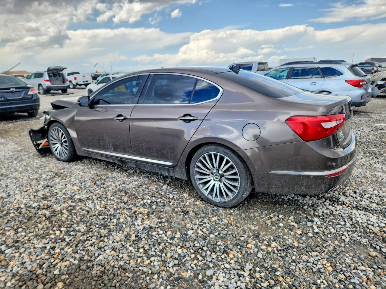 2014 Kia Cadenza Premium Желто-коричневый vin: KNALN4D72E5125781