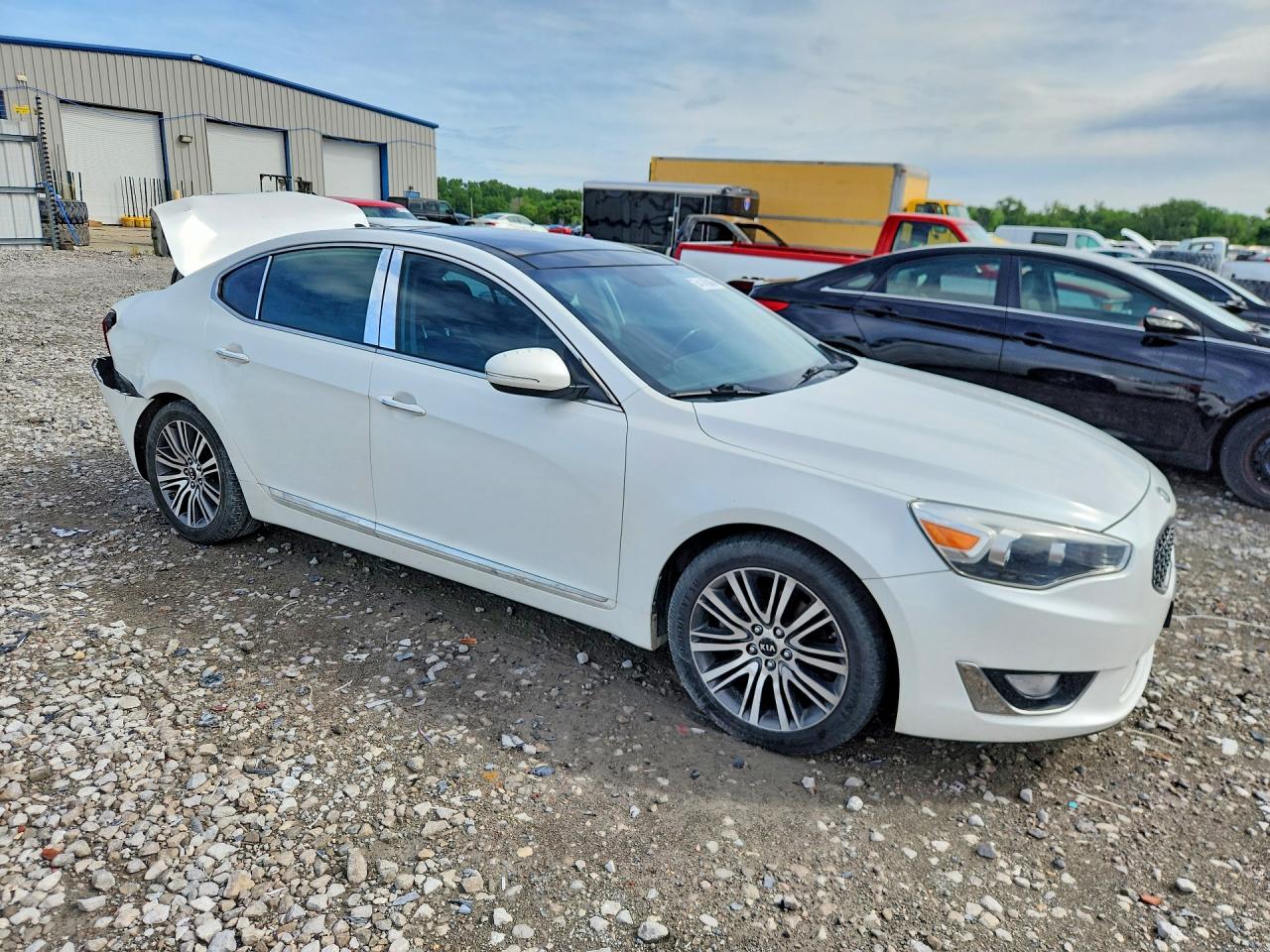 2014 Kia Cadenza Premium White vin: KNALN4D72E5161972